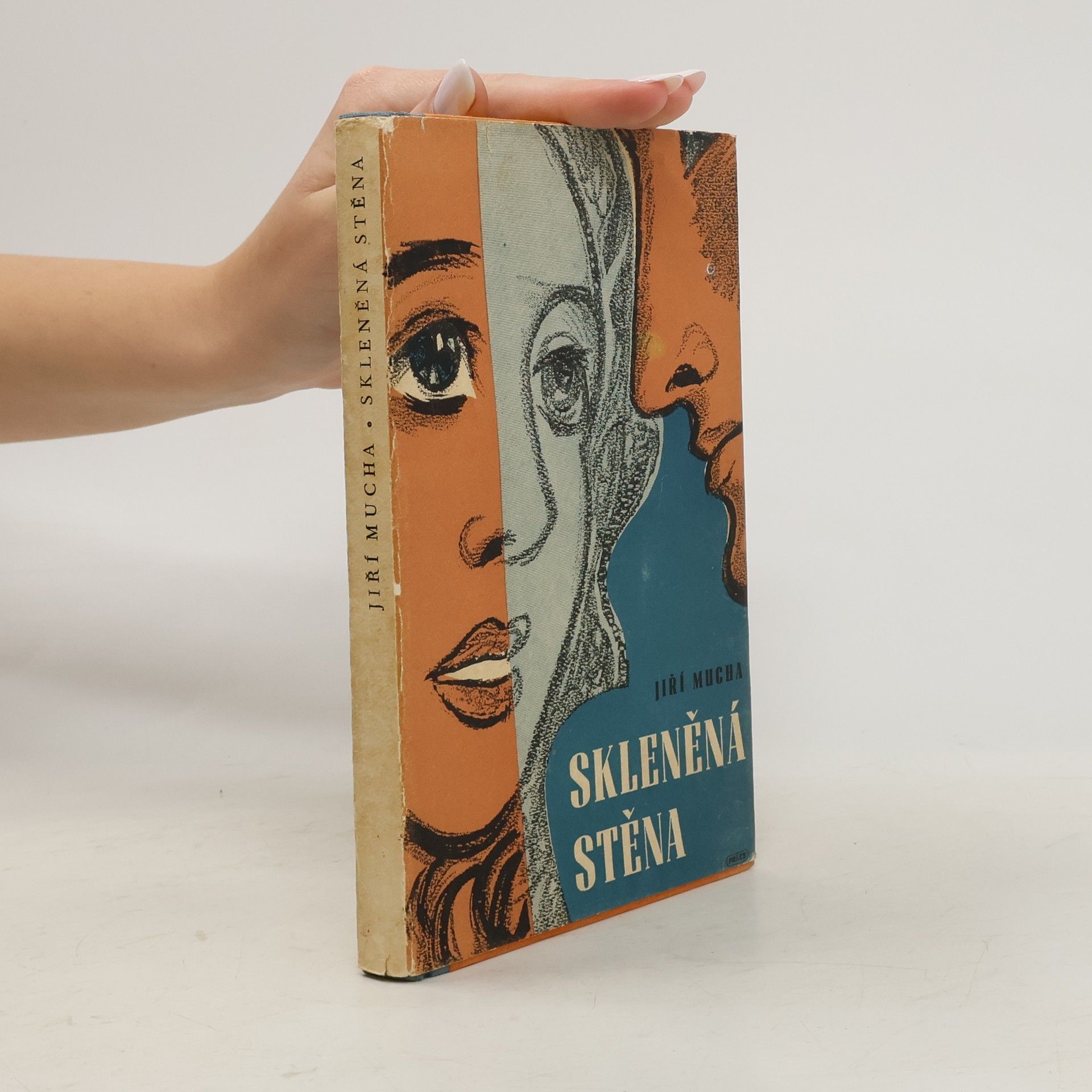 Jiří Mucha Skleněná stěna