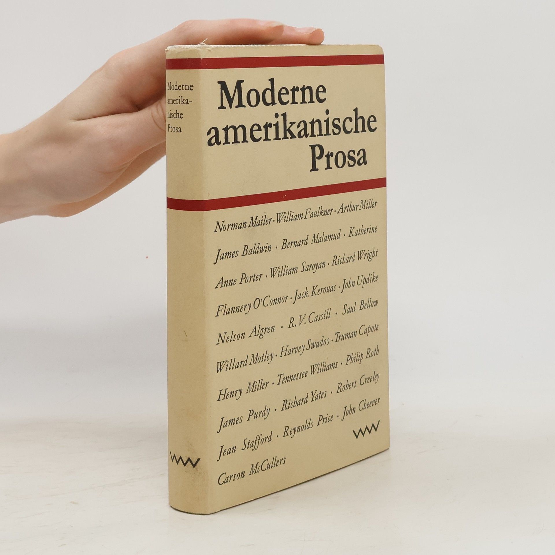 Moderne amerikanische Prosa