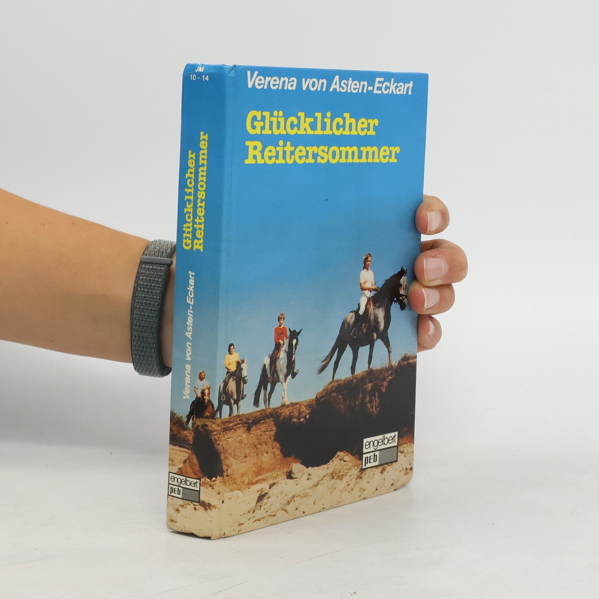 Glücklicher Reitersommer