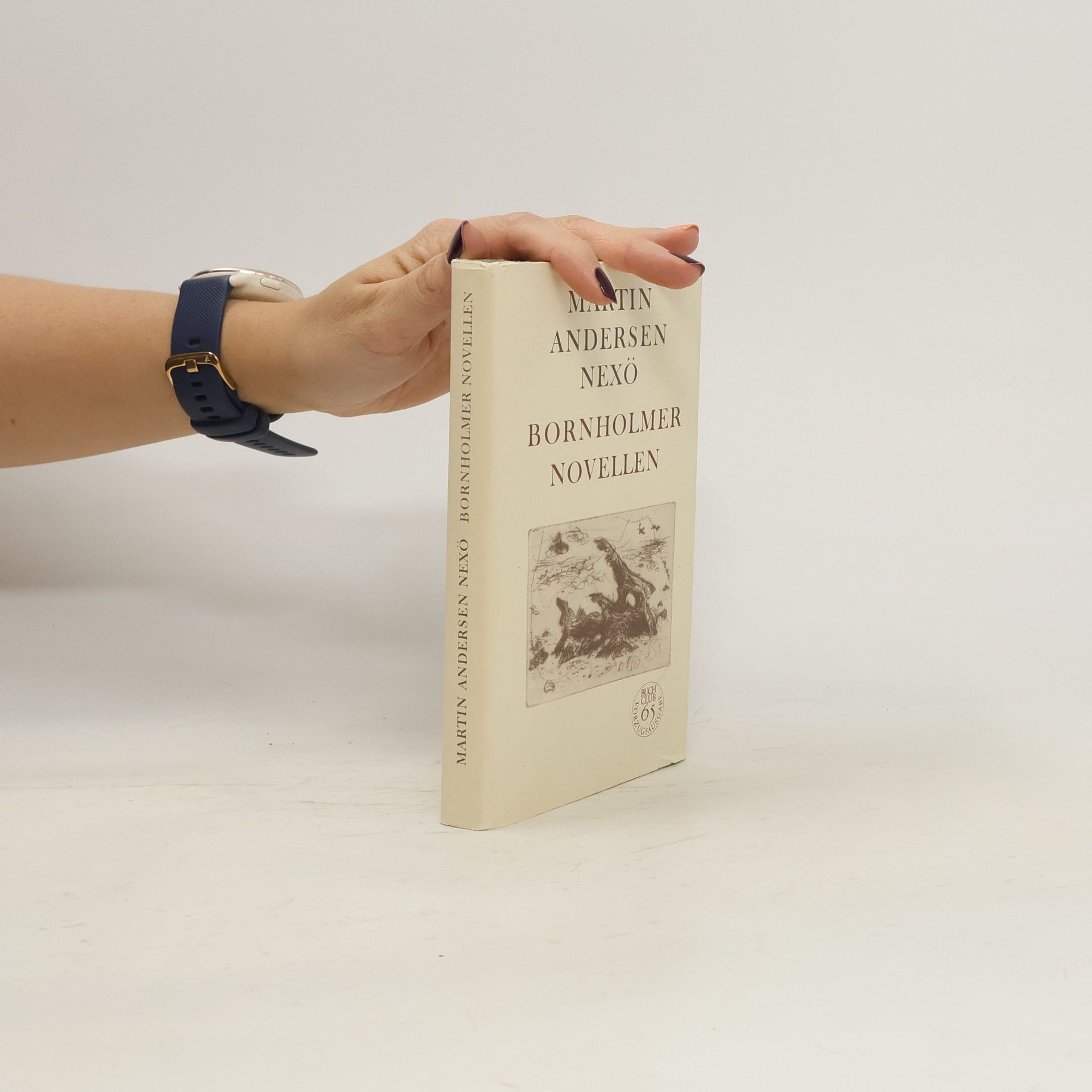Martin Andersen Nexö Bornholmer Novellen