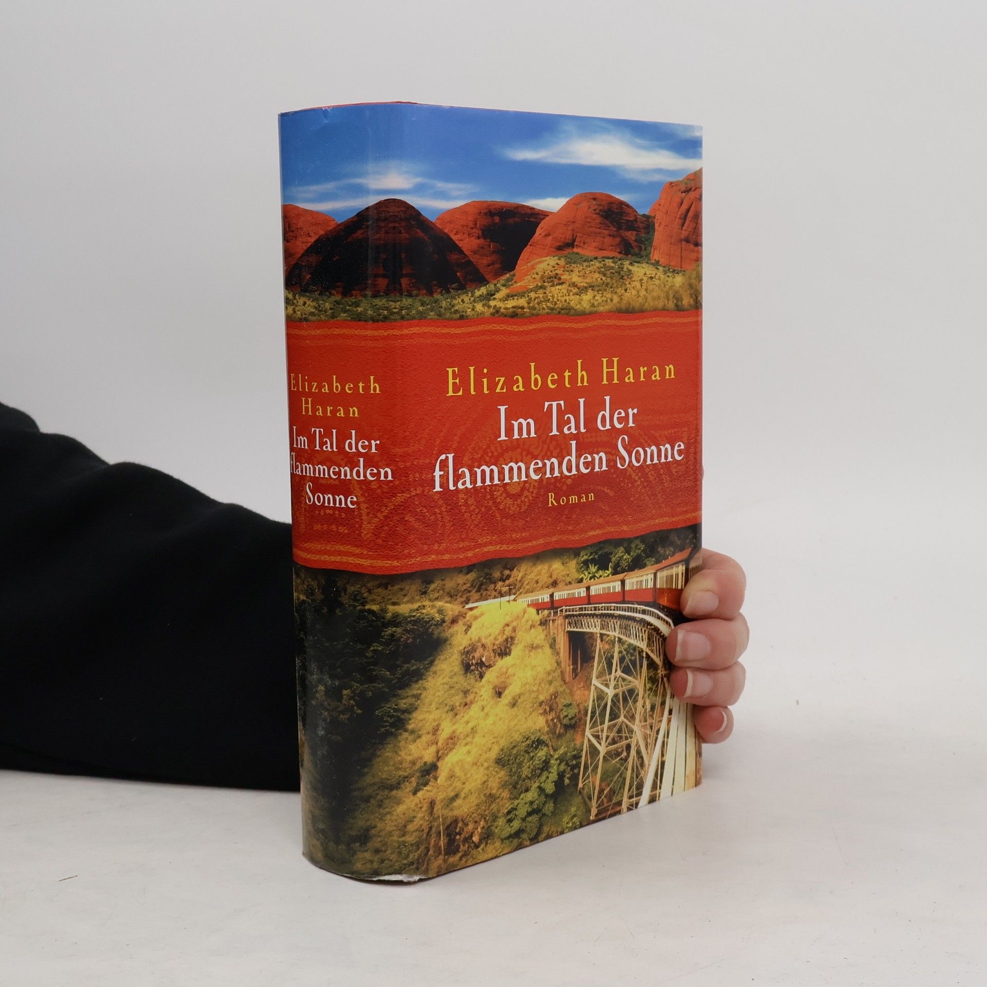 Elizabeth Haran Im Tal der flammenden Sonne