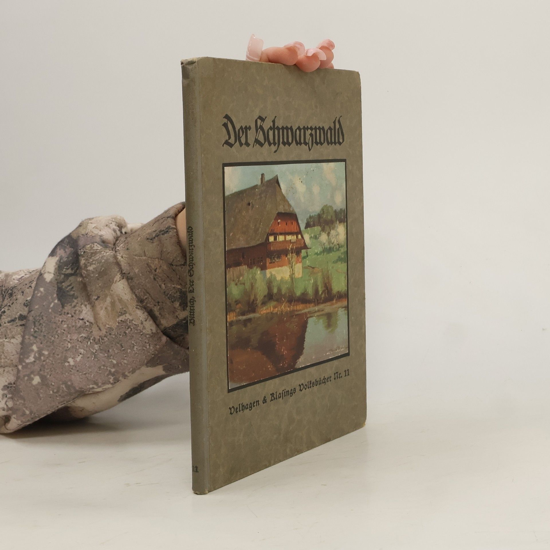 Max Bittrich Der Schwarzwald