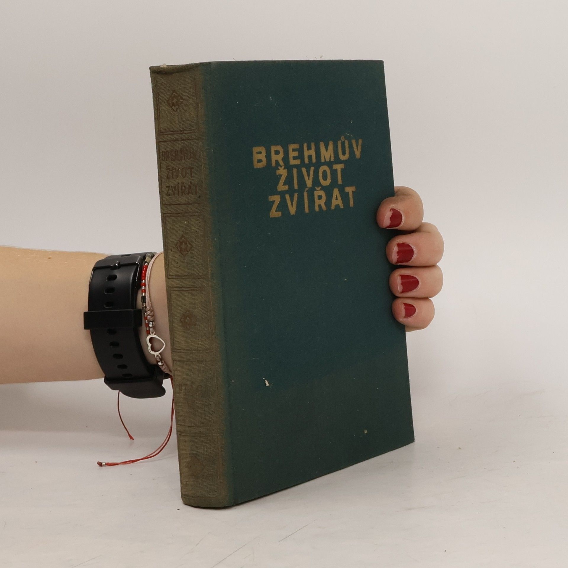 Adolf Meyer Brehmův život zvířat 25