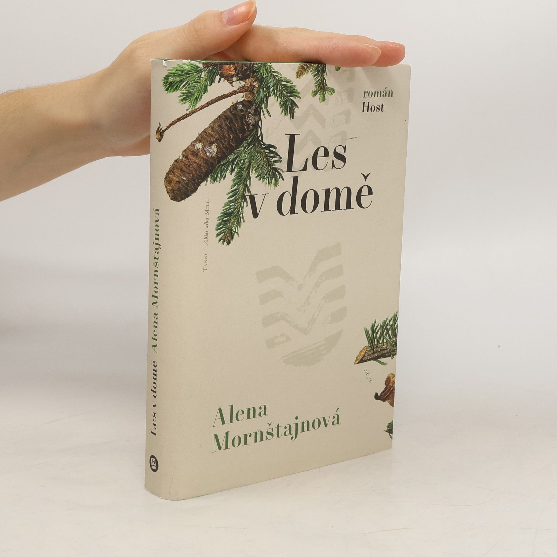 Alena Mornštajnová Les v domě