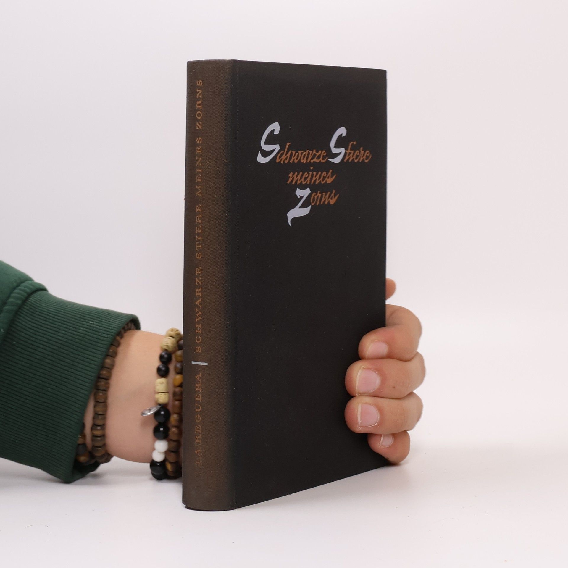 R. F. de la Reguera Schwarze Stiere meines Zorns