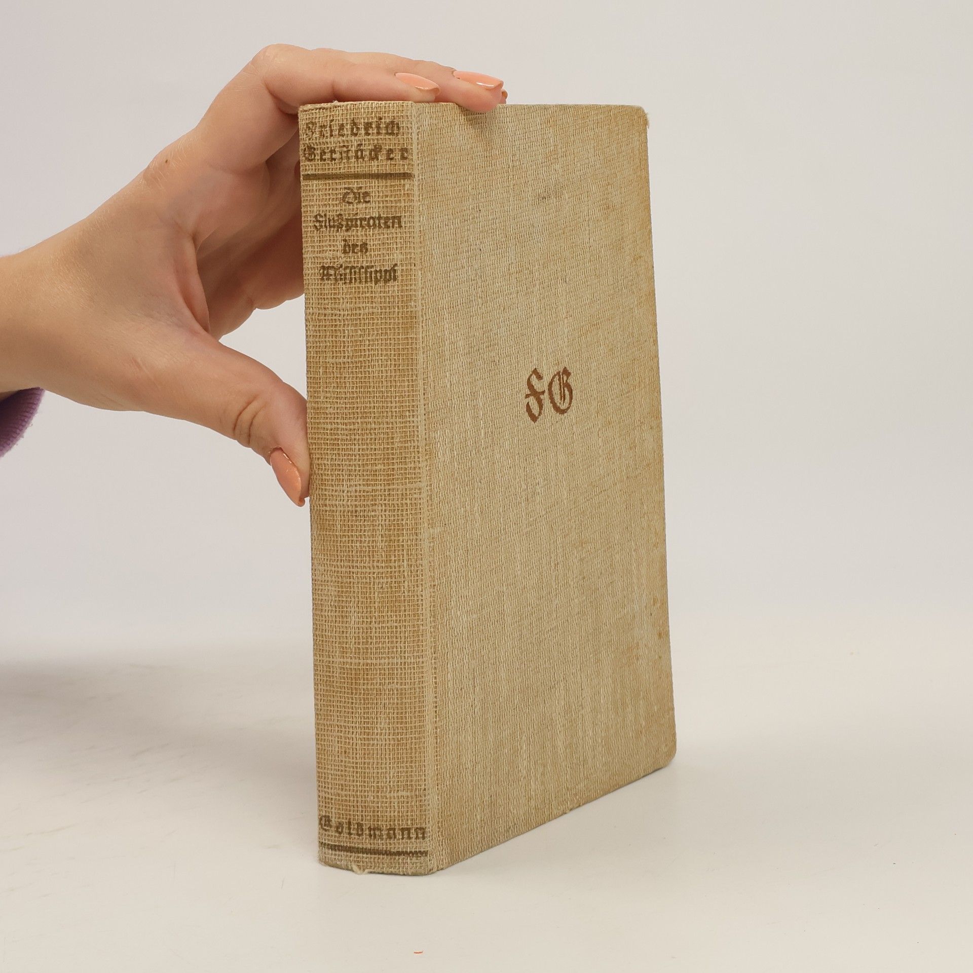 Friedrich Gerstäder Die Flußpiraten des Mississippi