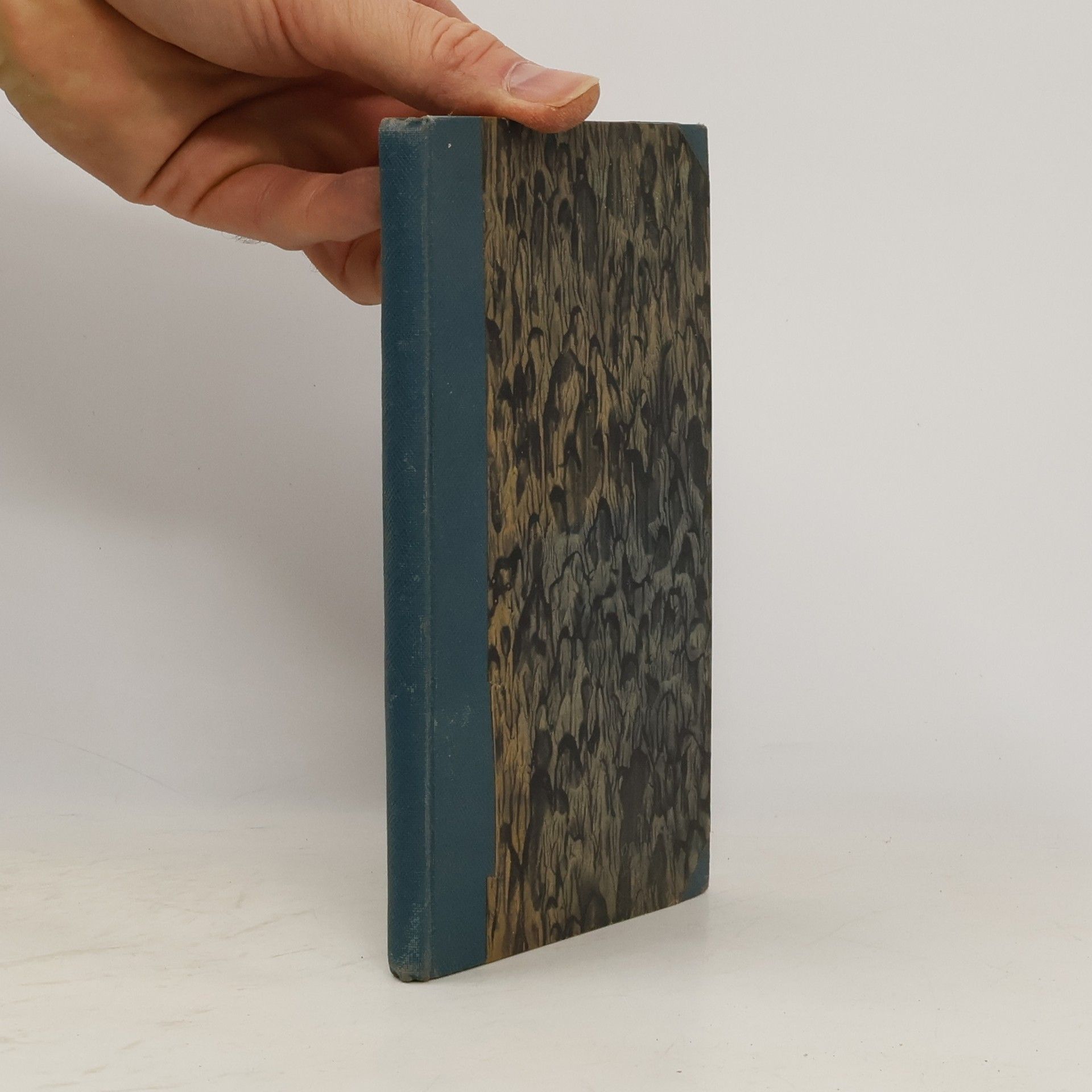 Josef Krlín Svatý Don Bosco