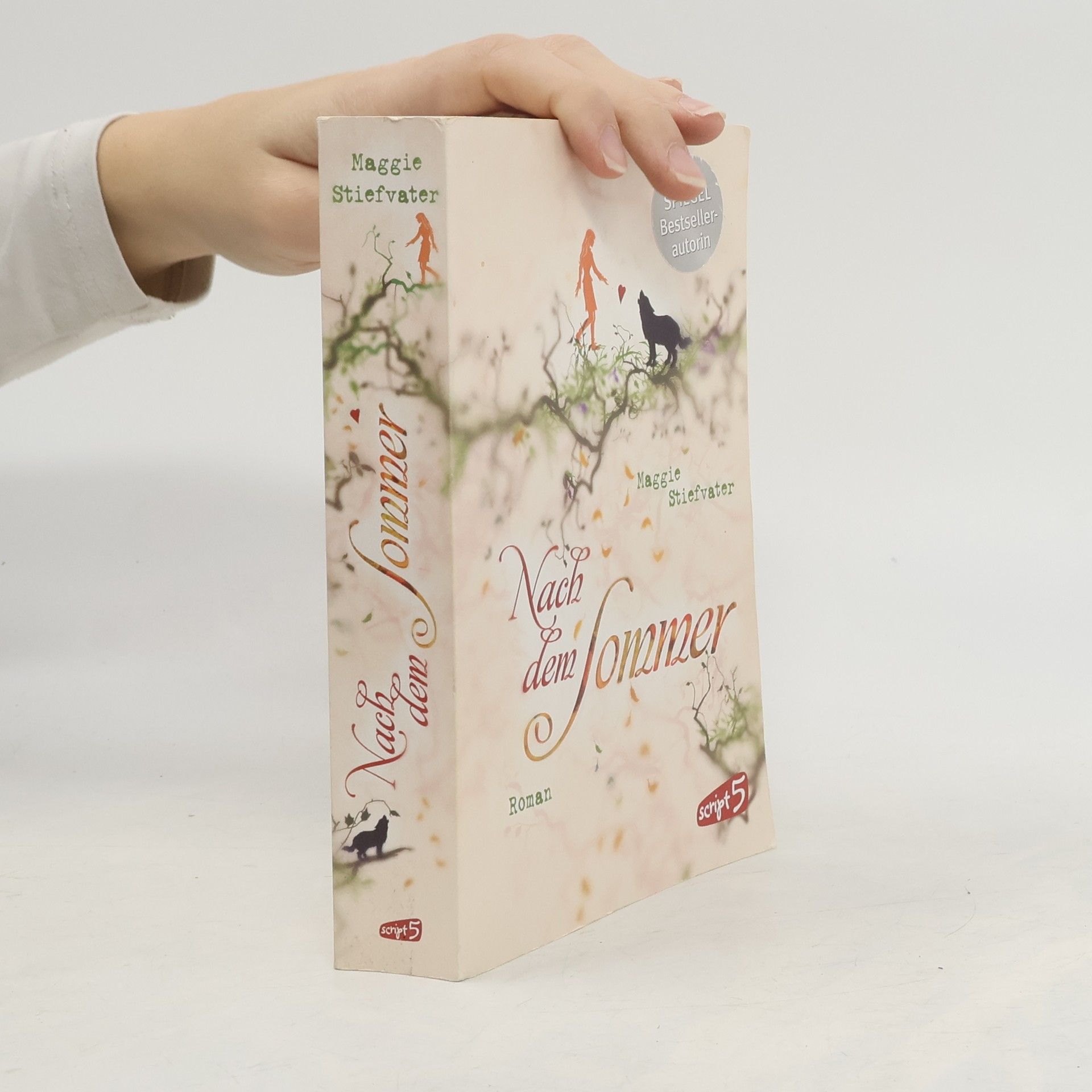 Maggie Stiefvater Nach dem Sommer
