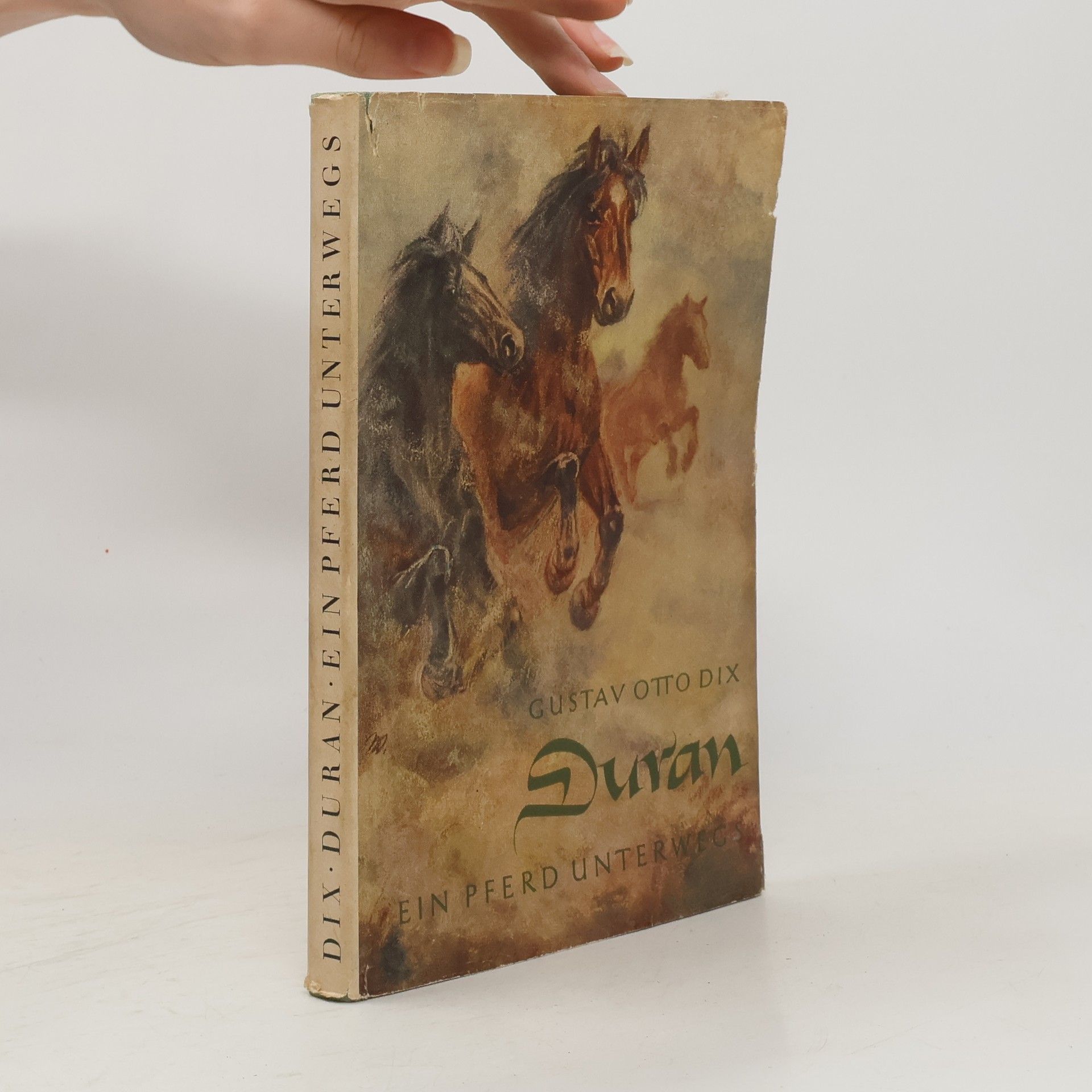 Duran: Ein Pferd unterwegs 