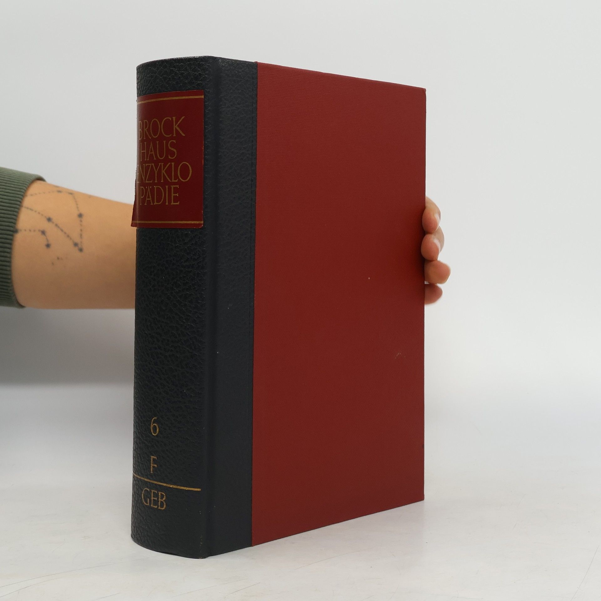 AA.VV. Brockhaus Enzyklopädie 6