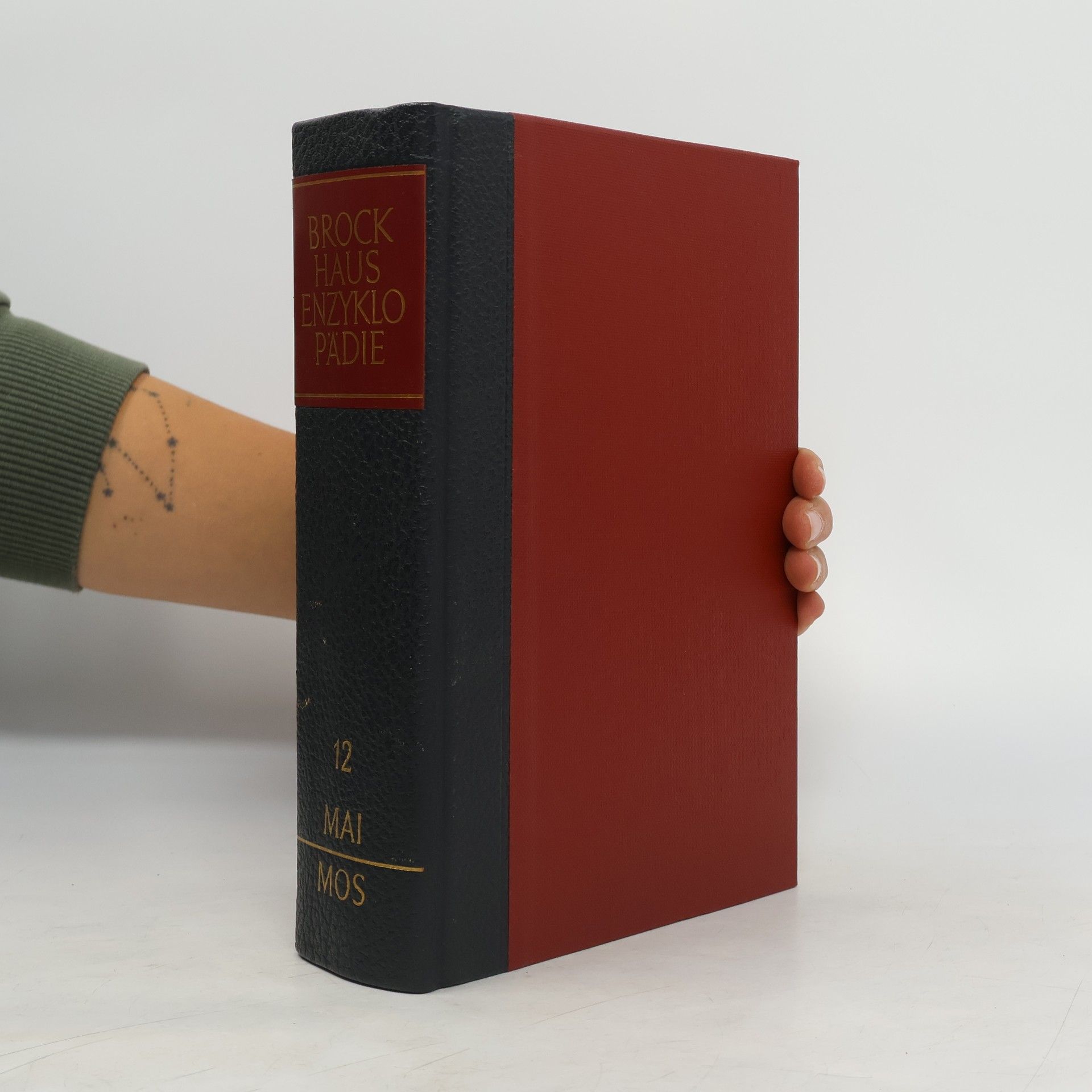 AA.VV. Brockhaus Enzyklopädie 12