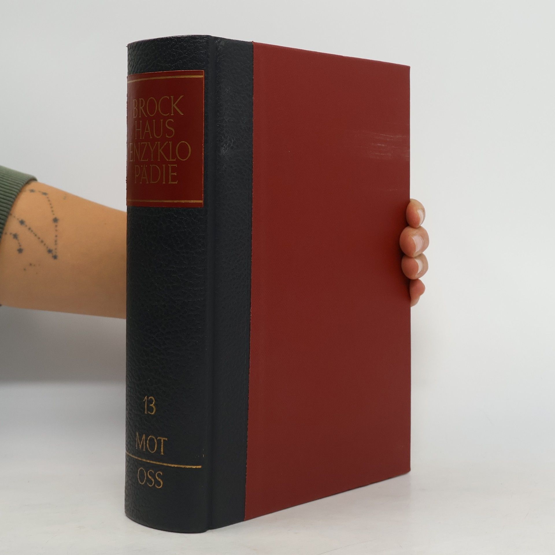 AA.VV. Brockhaus Enzyklopädie 13. MOT - OSS
