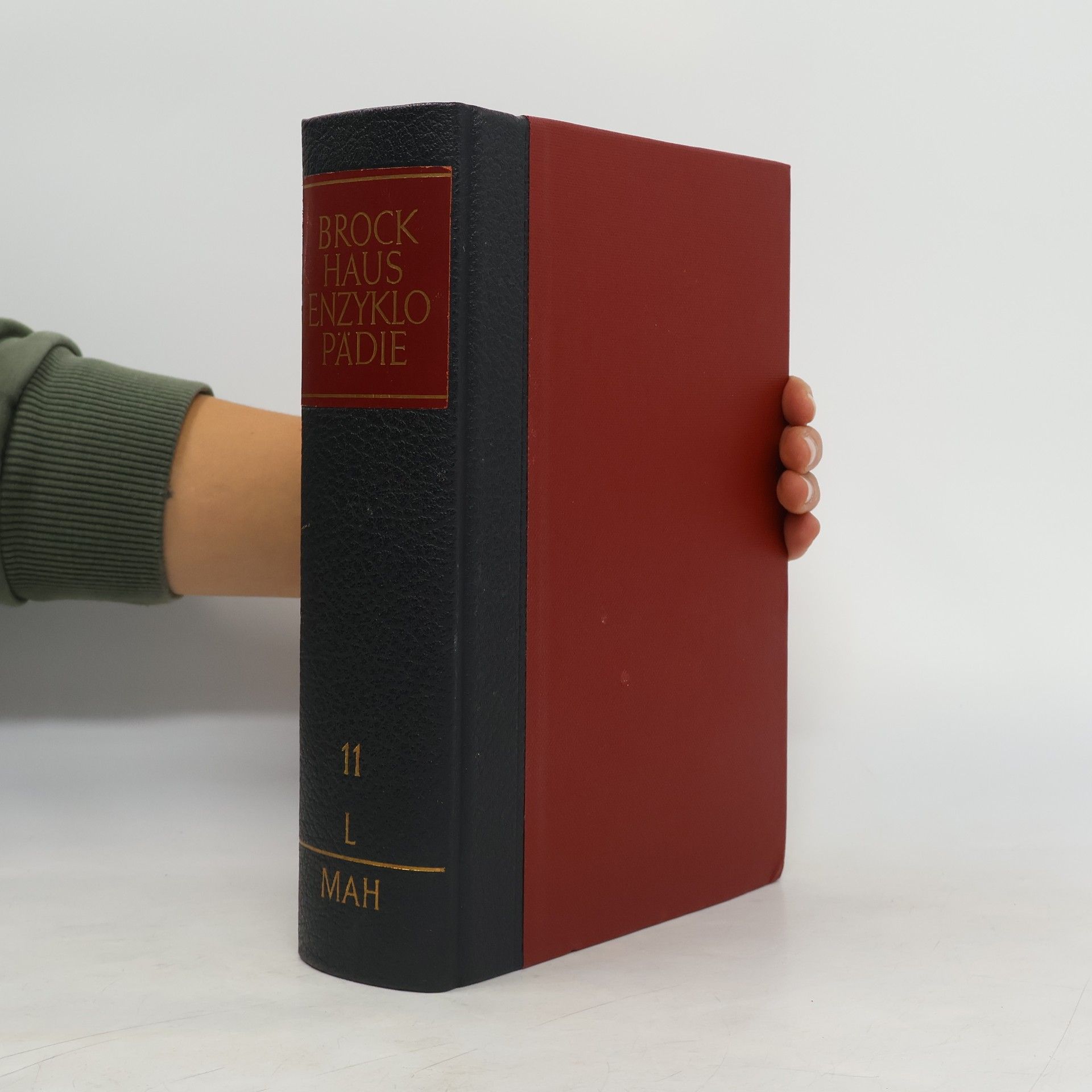AA.VV. Brockhaus Enzyklopädie 11