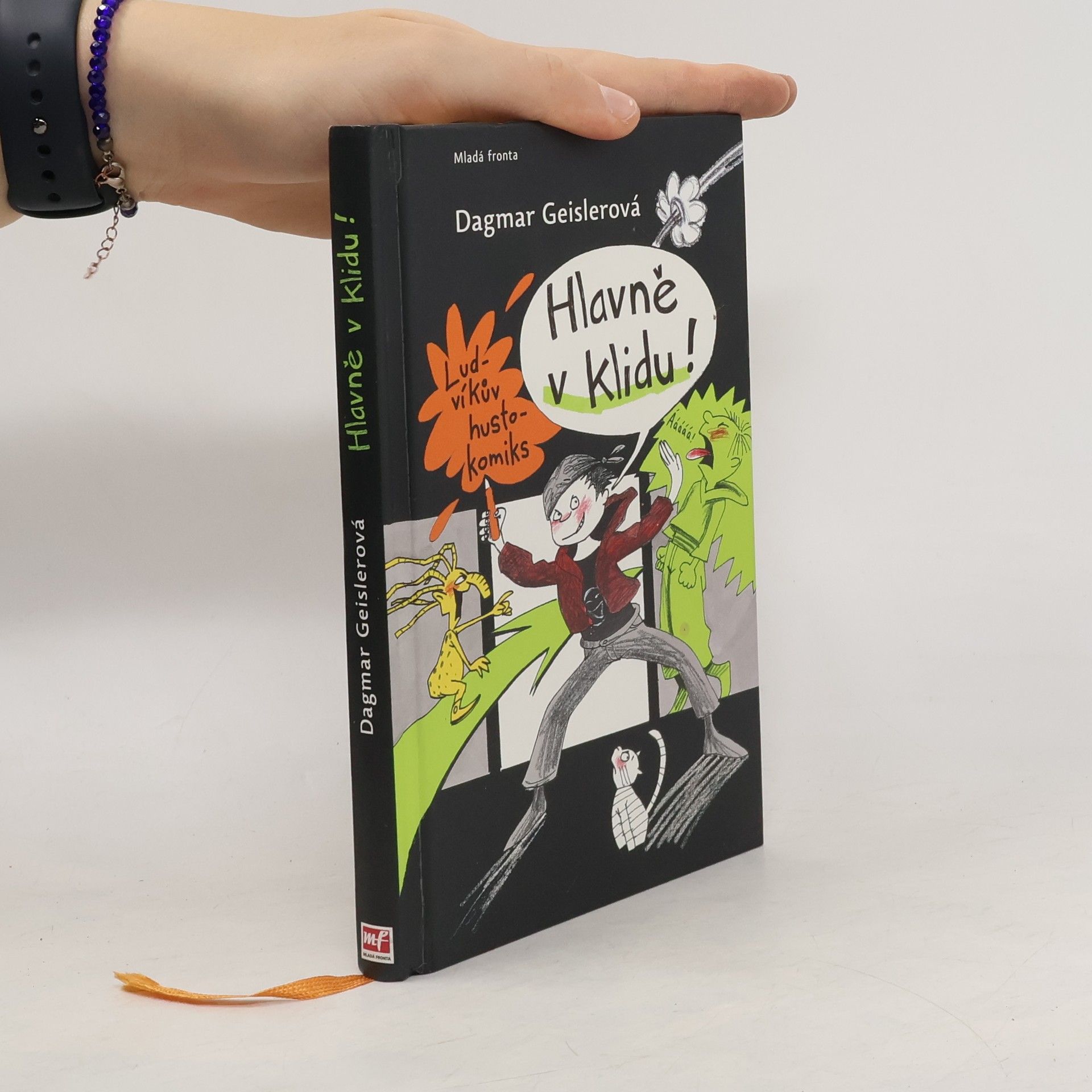 Dagmar Geisler Hlavně v klidu! : Ludvíkův hustokomiks