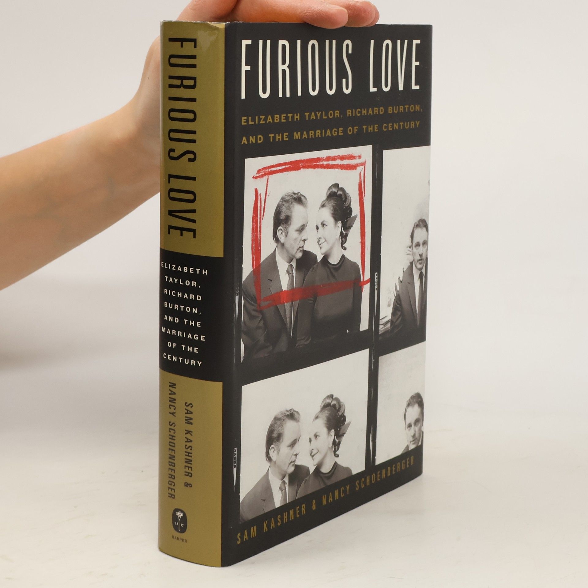 Sam Kashner Furious Love