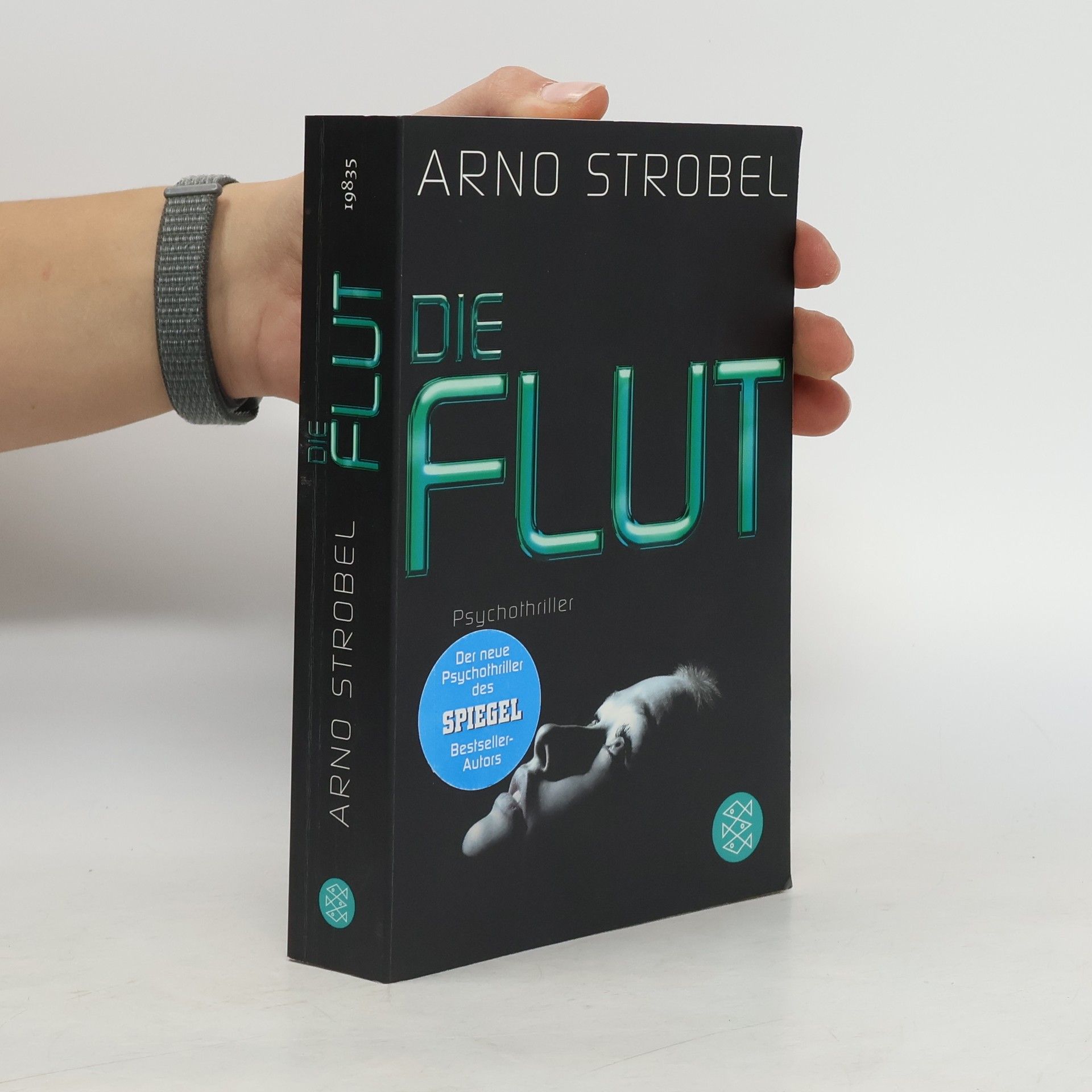Arno Strobel Die Flut