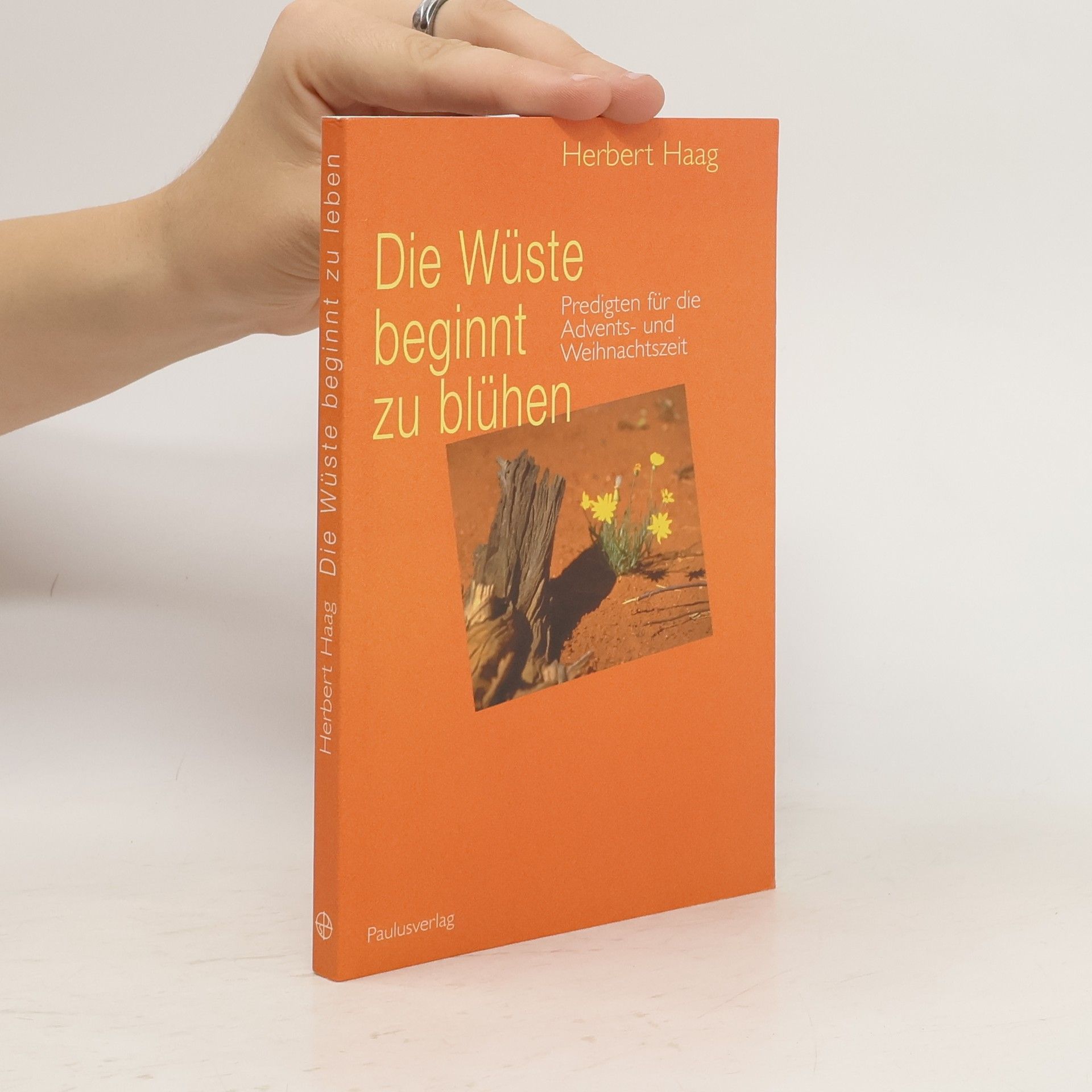 Die Wüste beginnt zu blühen