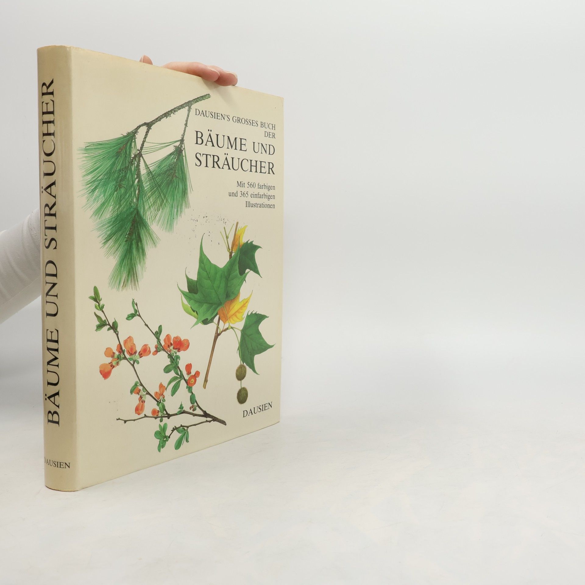 Václav Větvička Dausien's grosses Buch der Bäume und Sträucher