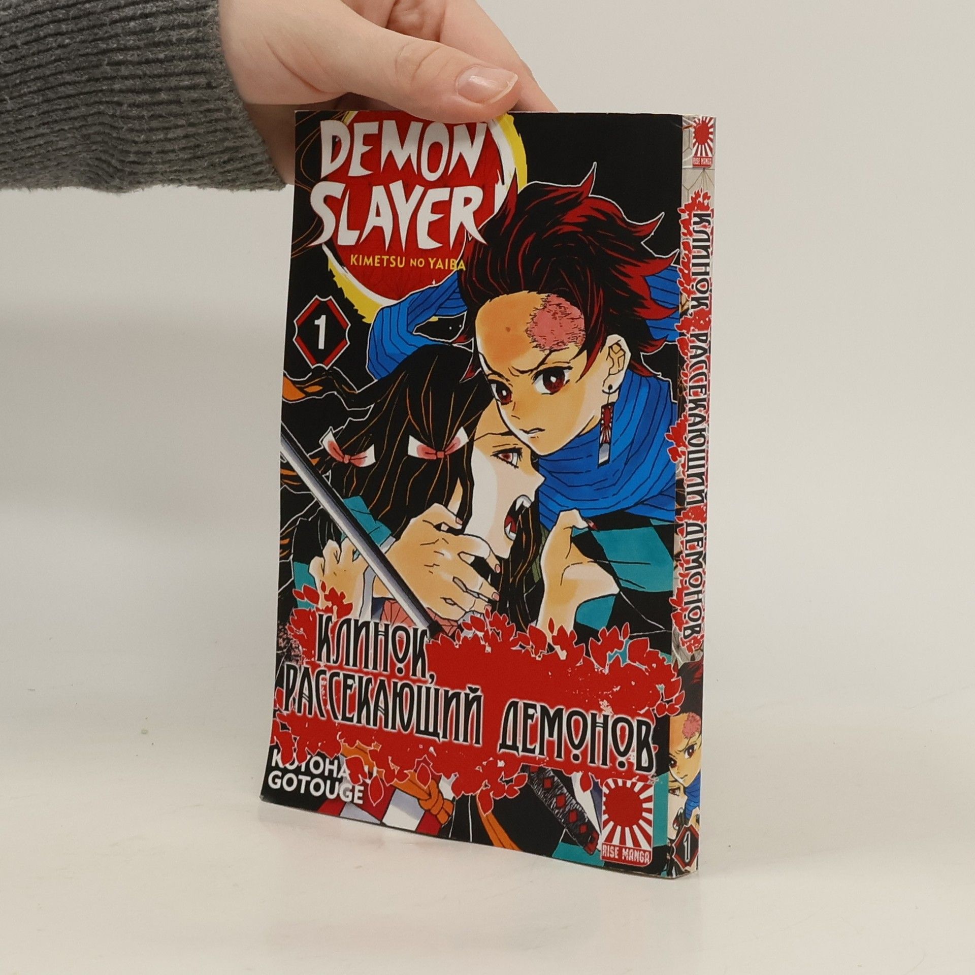 Koyoharu Gotoge Demon Slayer. Kimetsu no Yaiba, Vol. 1