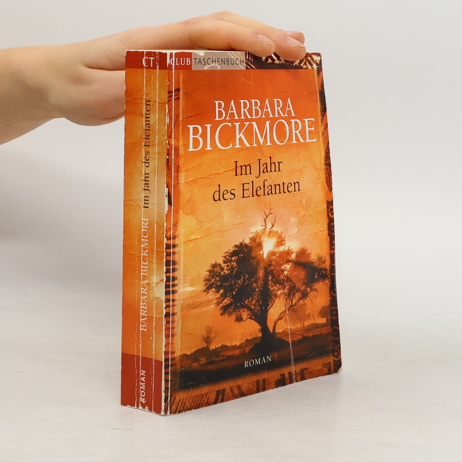 Barbara Bickmore Im Jahr des Elefanten