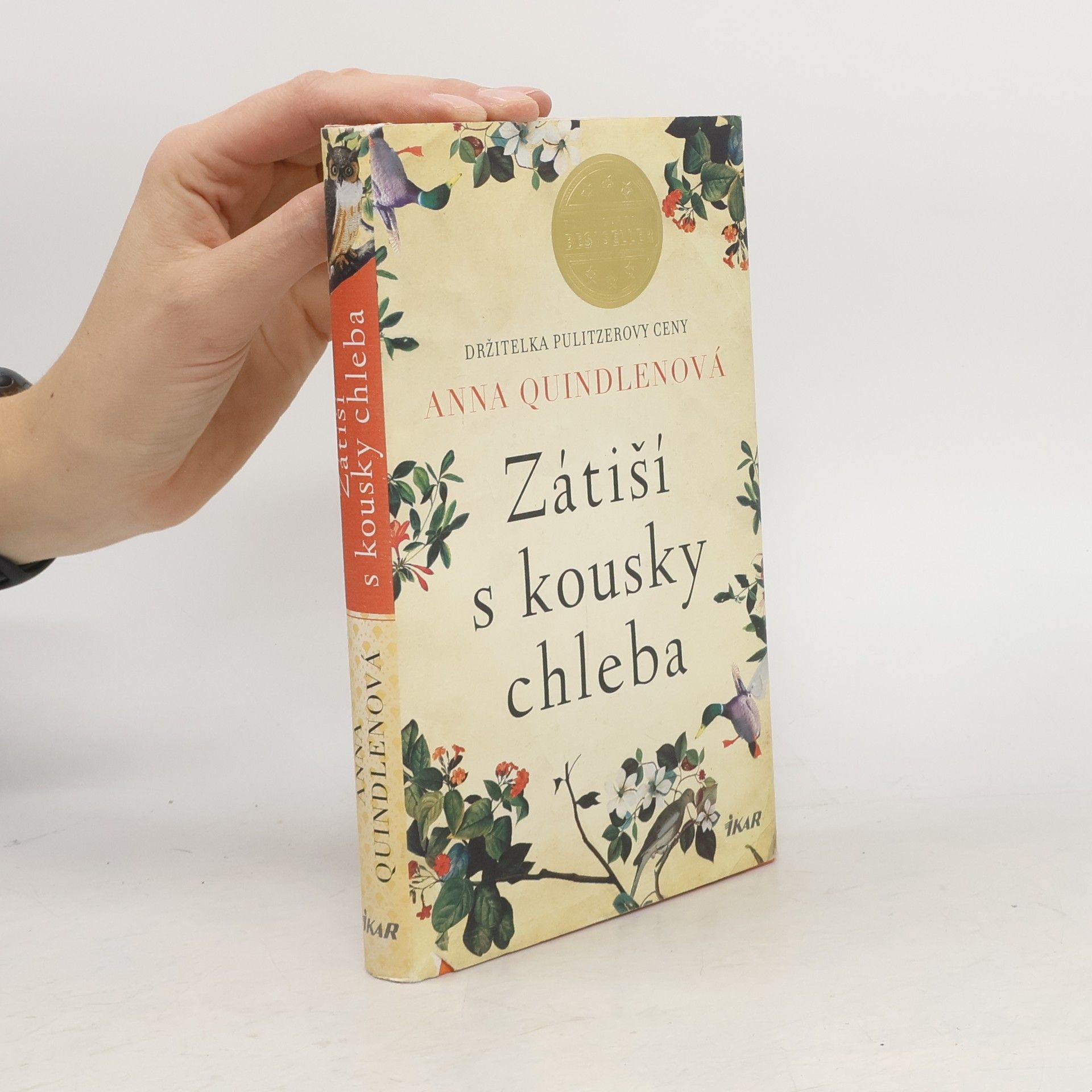 Anna Quindlen Zátiší s kousky chleba