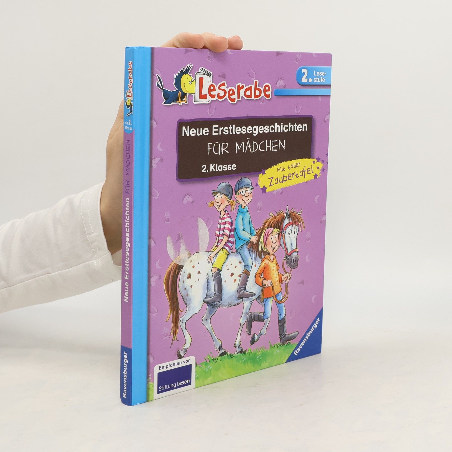 Heike Wiechmann Neue Erstlesegeschichten für Mädchen 2. Klasse