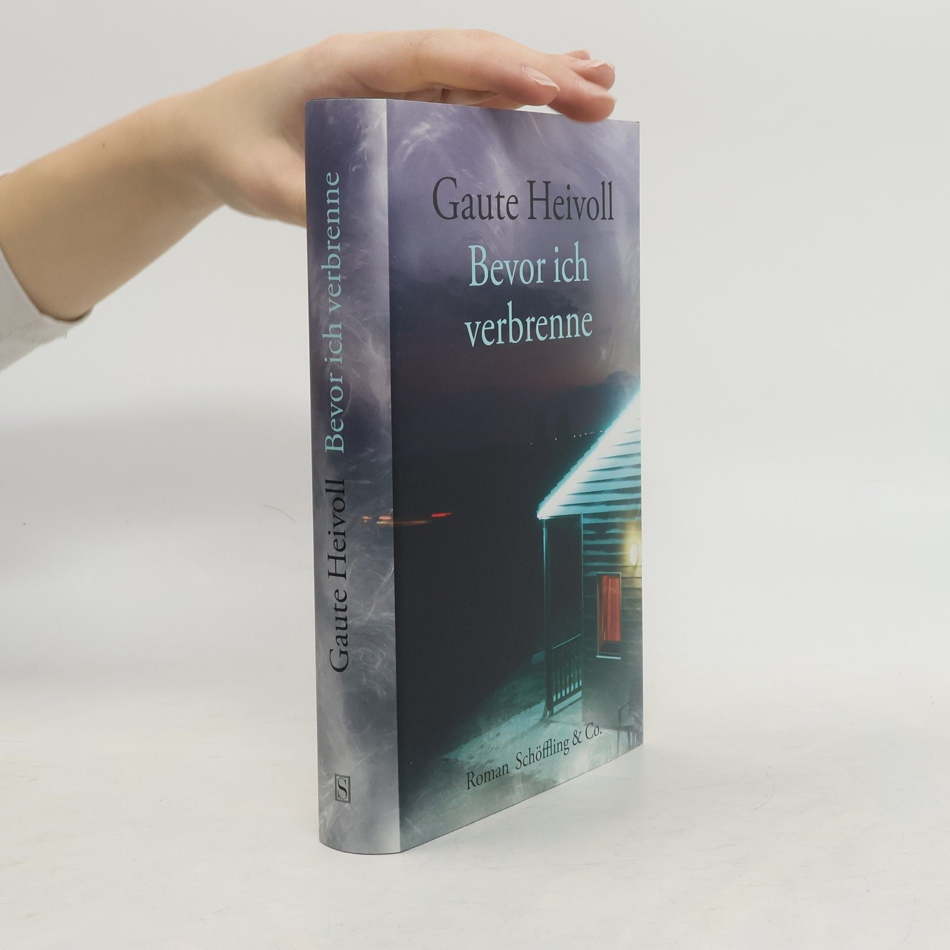 Gaute Heivoll Bevor ich verbrenne