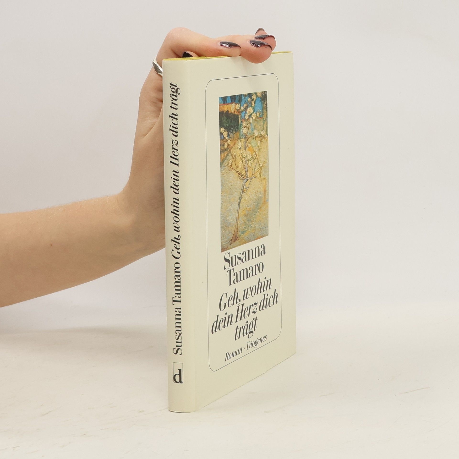 Susanna Tamaro Geh, wohin dein Herz dich trägt