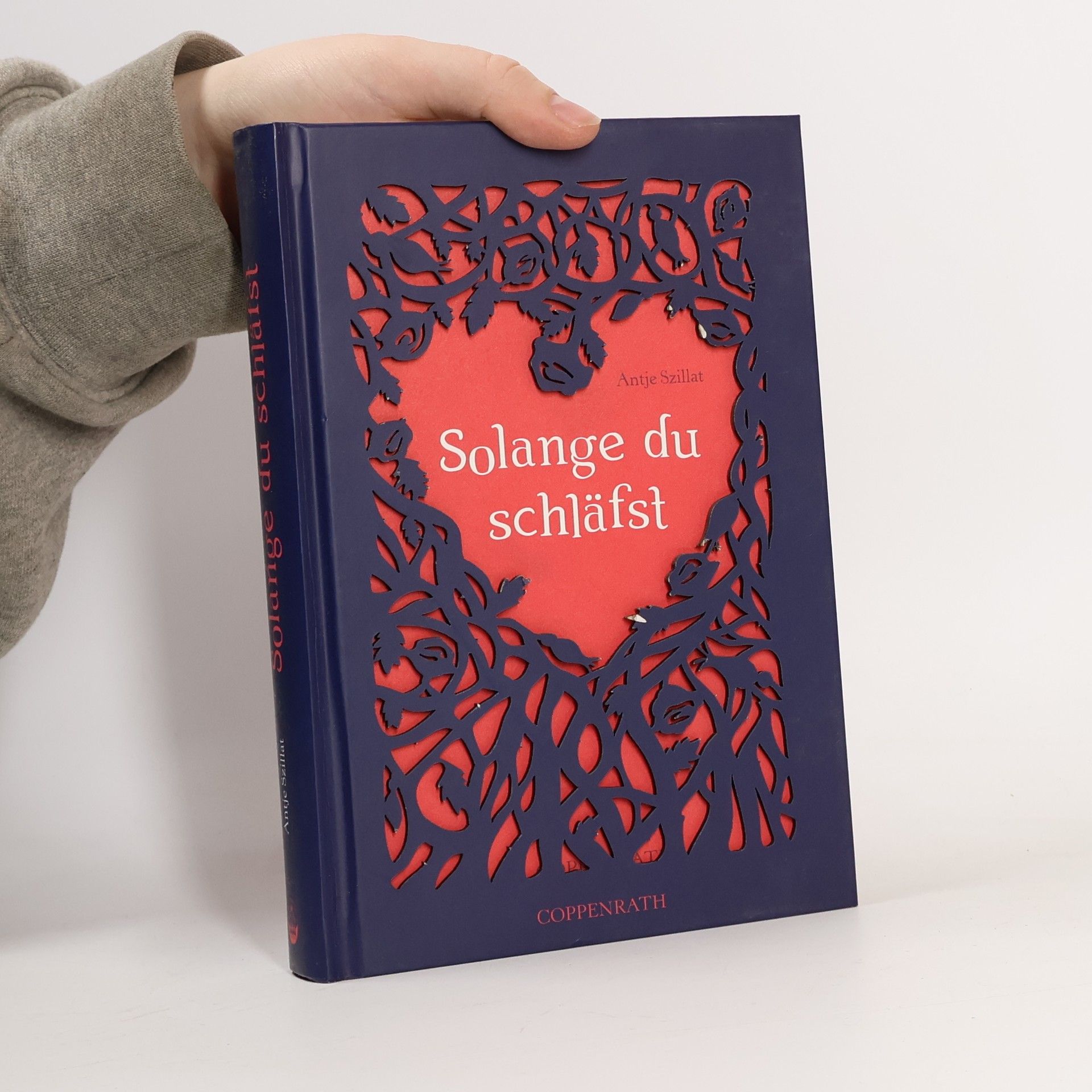 Antje Szillat Solange du schläfst