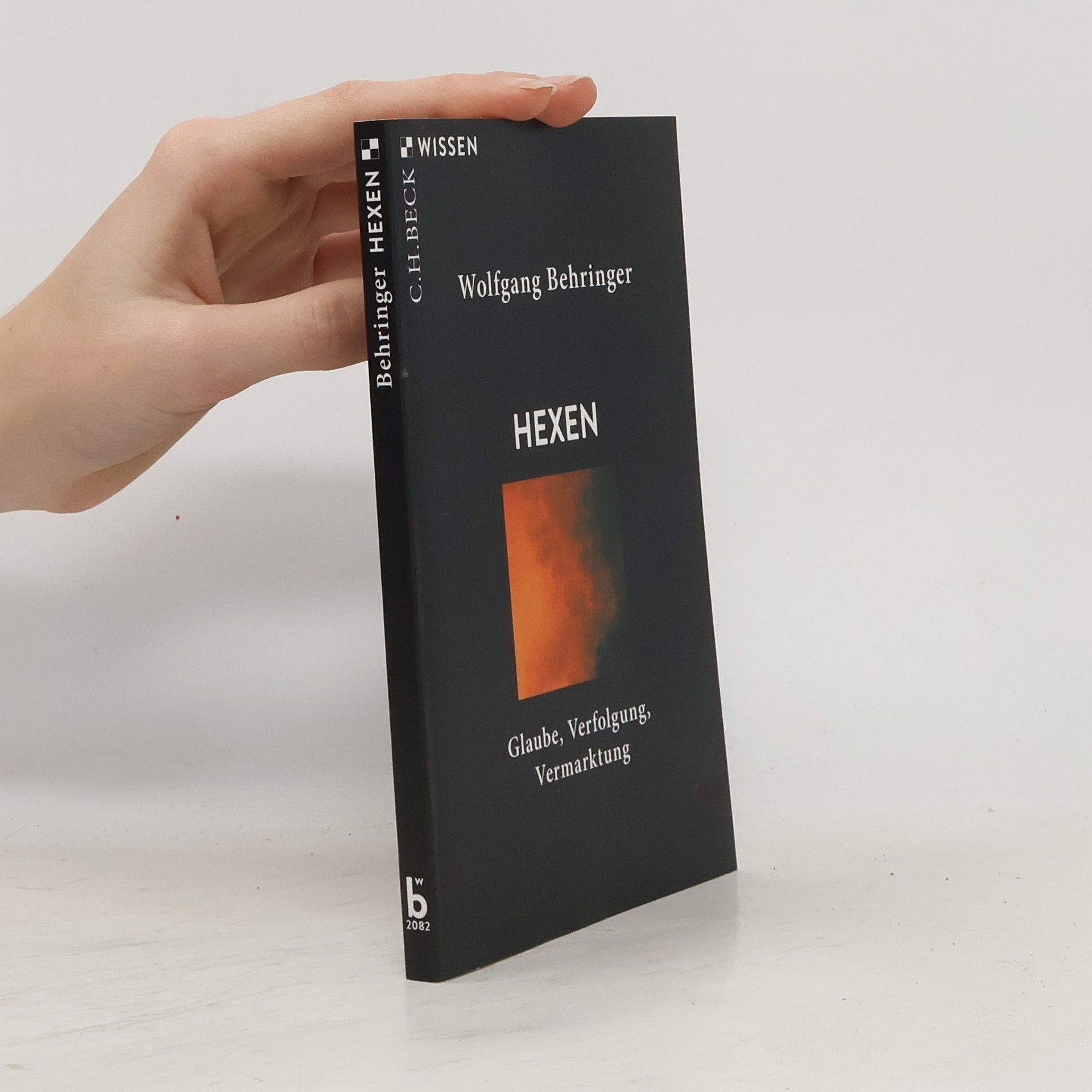 Wolfgang Behringer Hexen