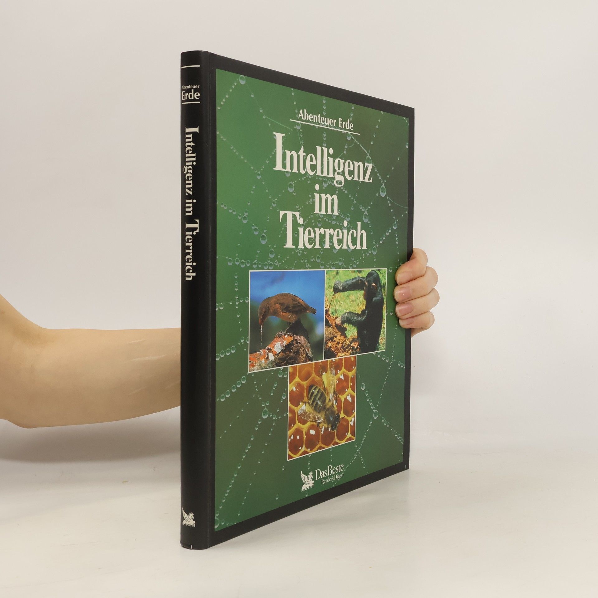 Autorenkollektiv Intelligenz im Tierreich