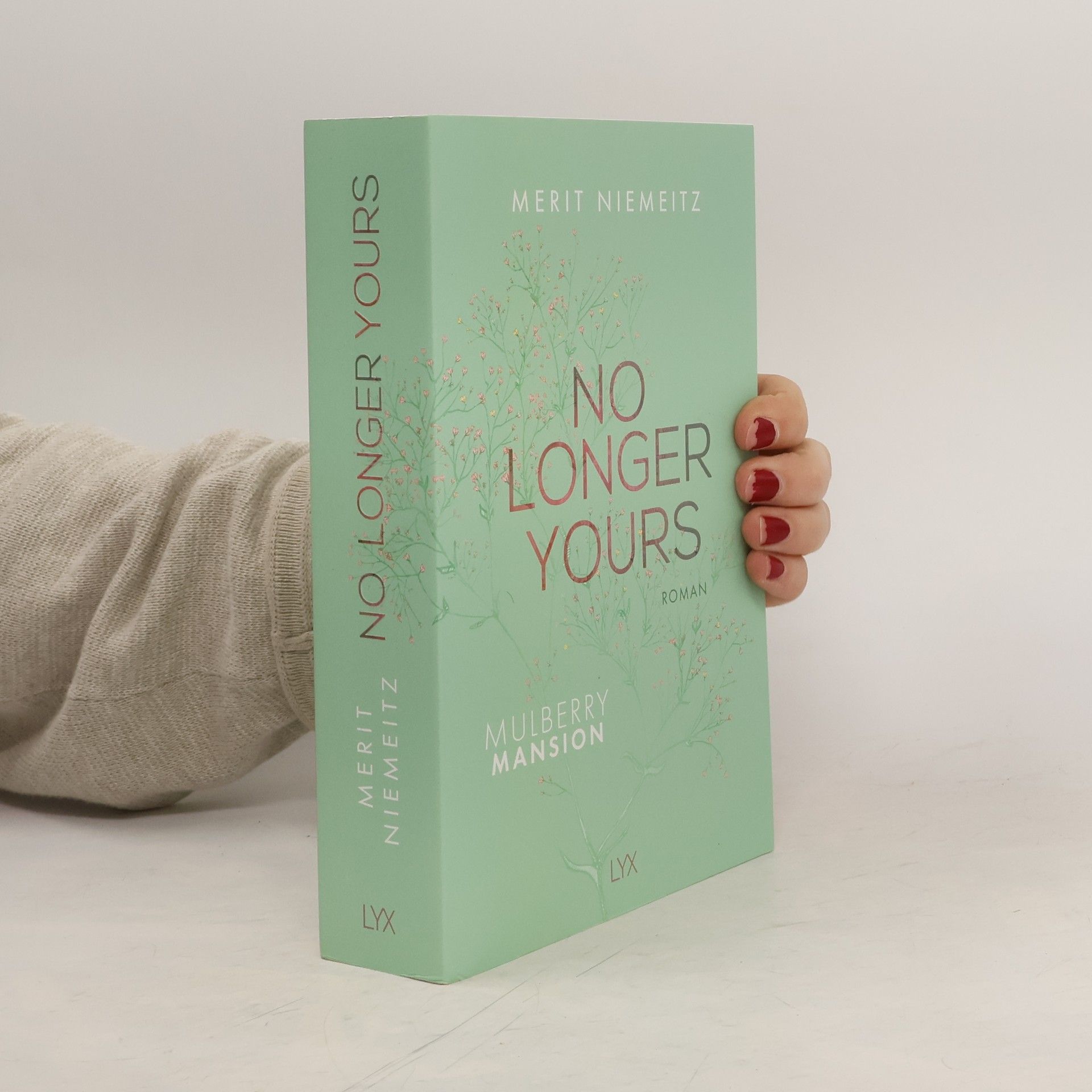 Merit Niemeitz No Longer Yours