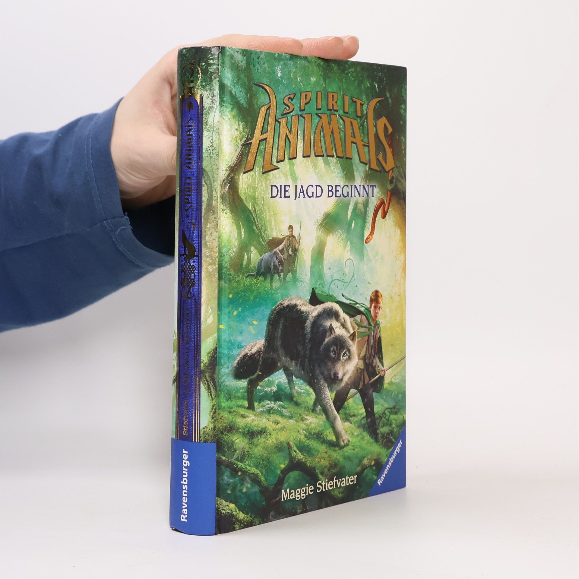 Maggie Stiefvater Die Jagd beginnt