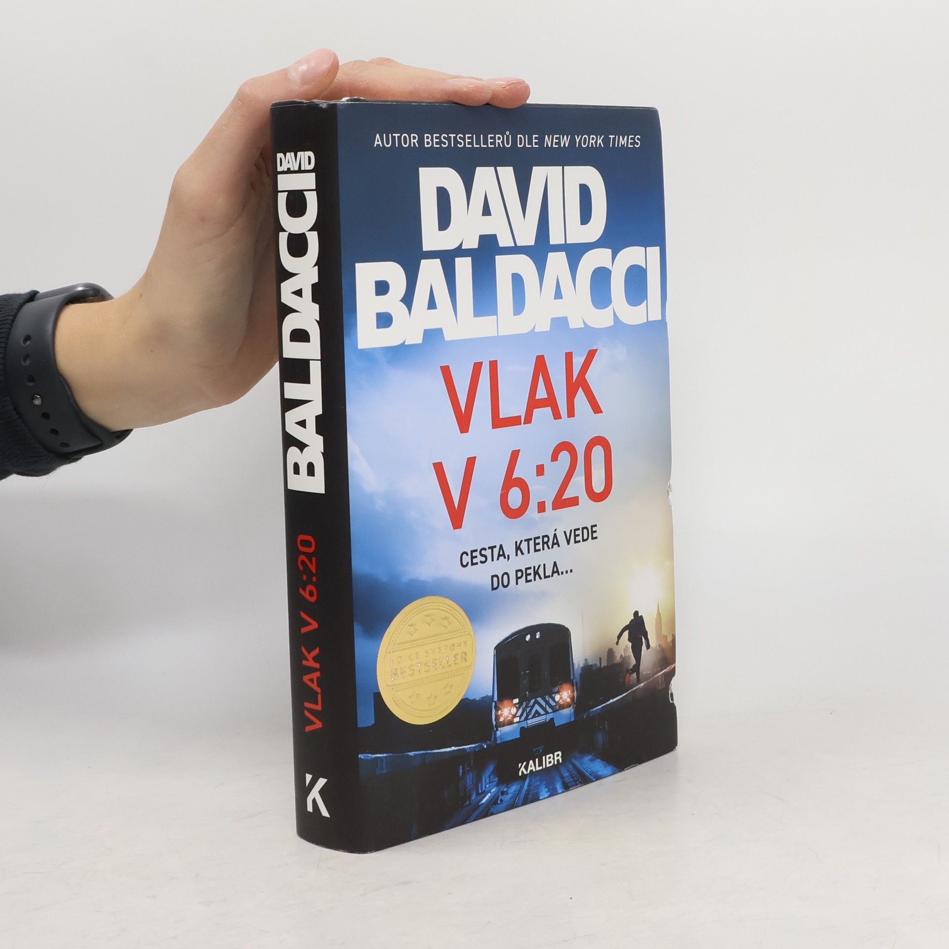 David Baldacci Vlak v 6:20