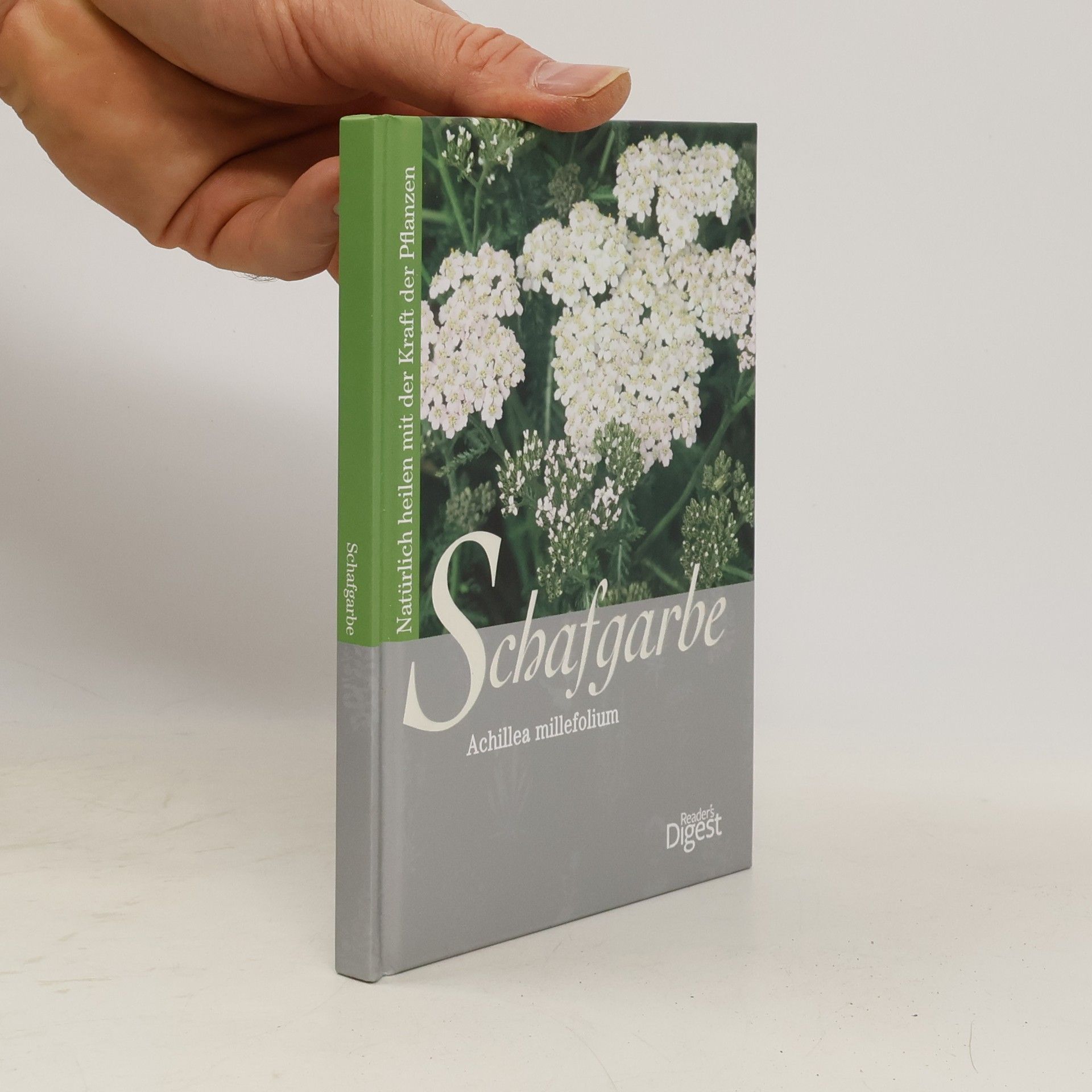 Collectif d'auteurs Schafgarbe