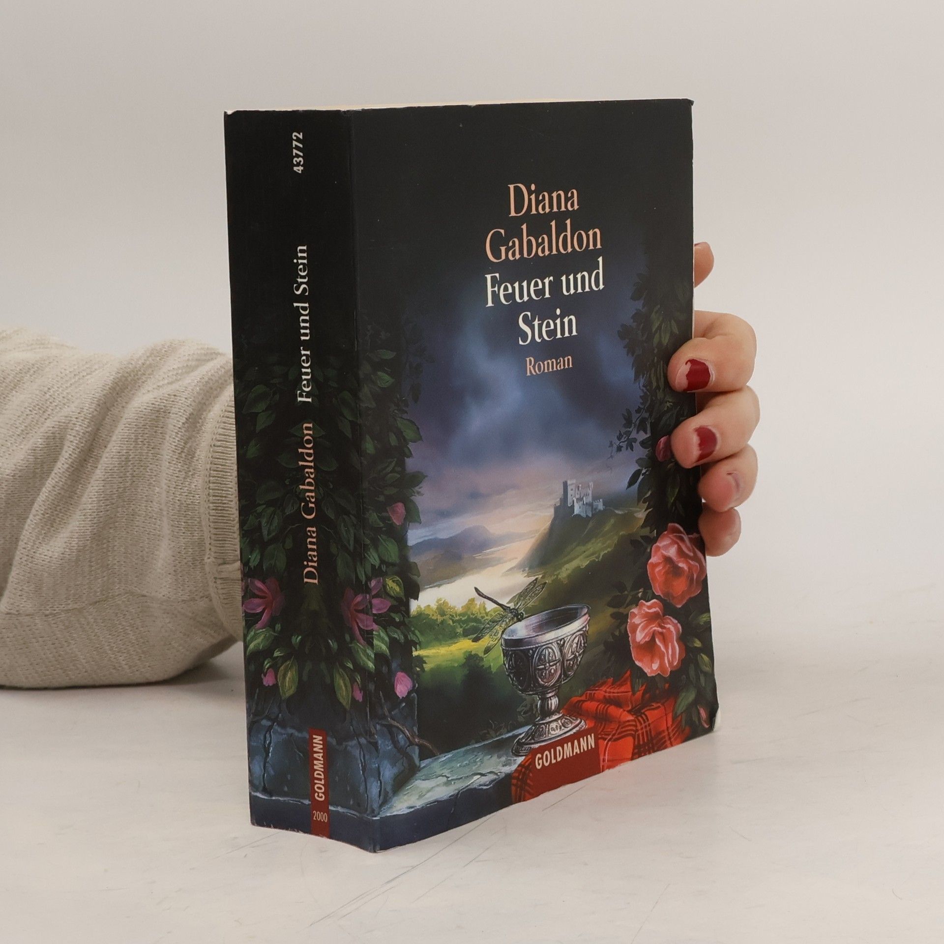 Diana Gabaldon Feuer und Stein