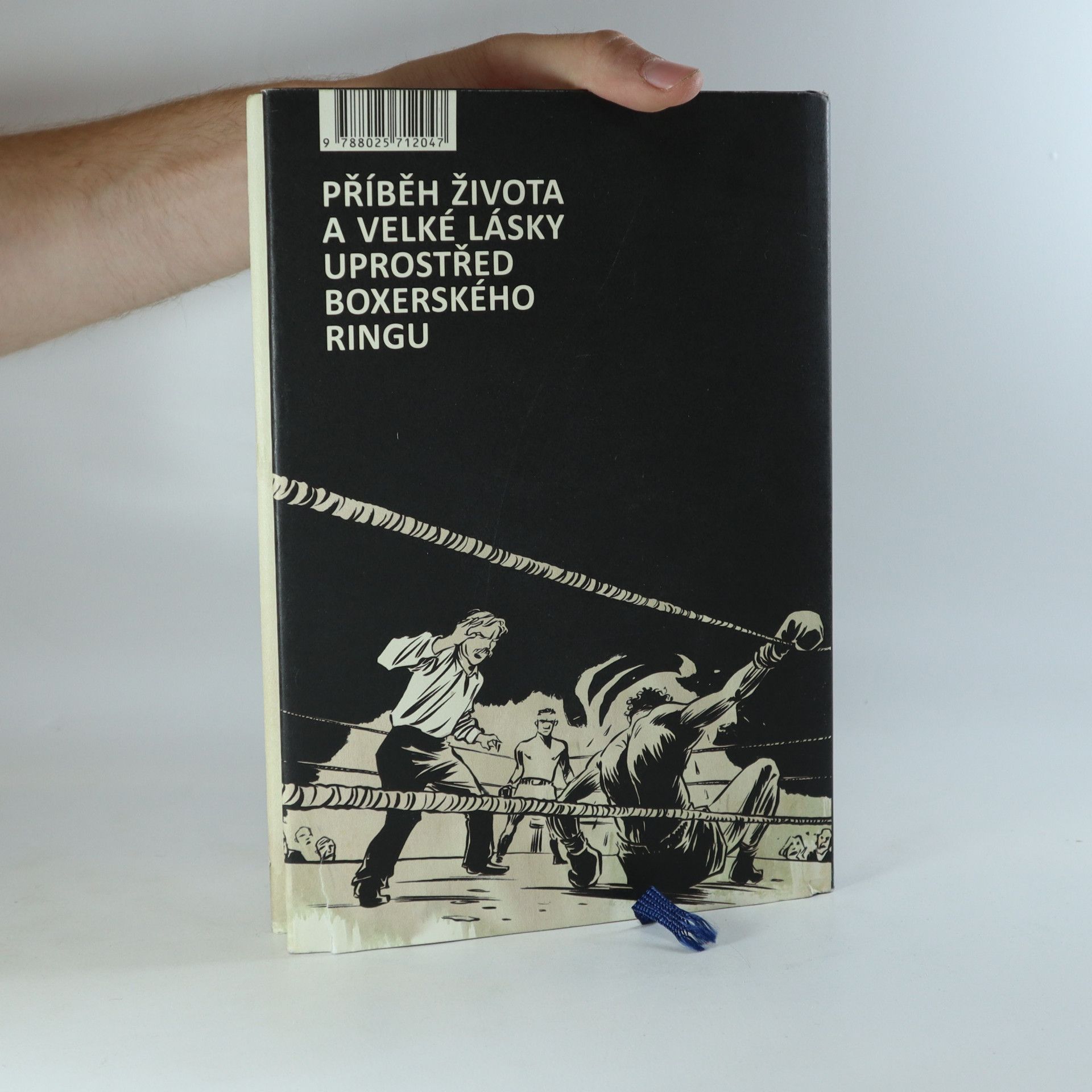 Reinhard Kleist Boxer. Pravdivý příběh Hercka Hafta