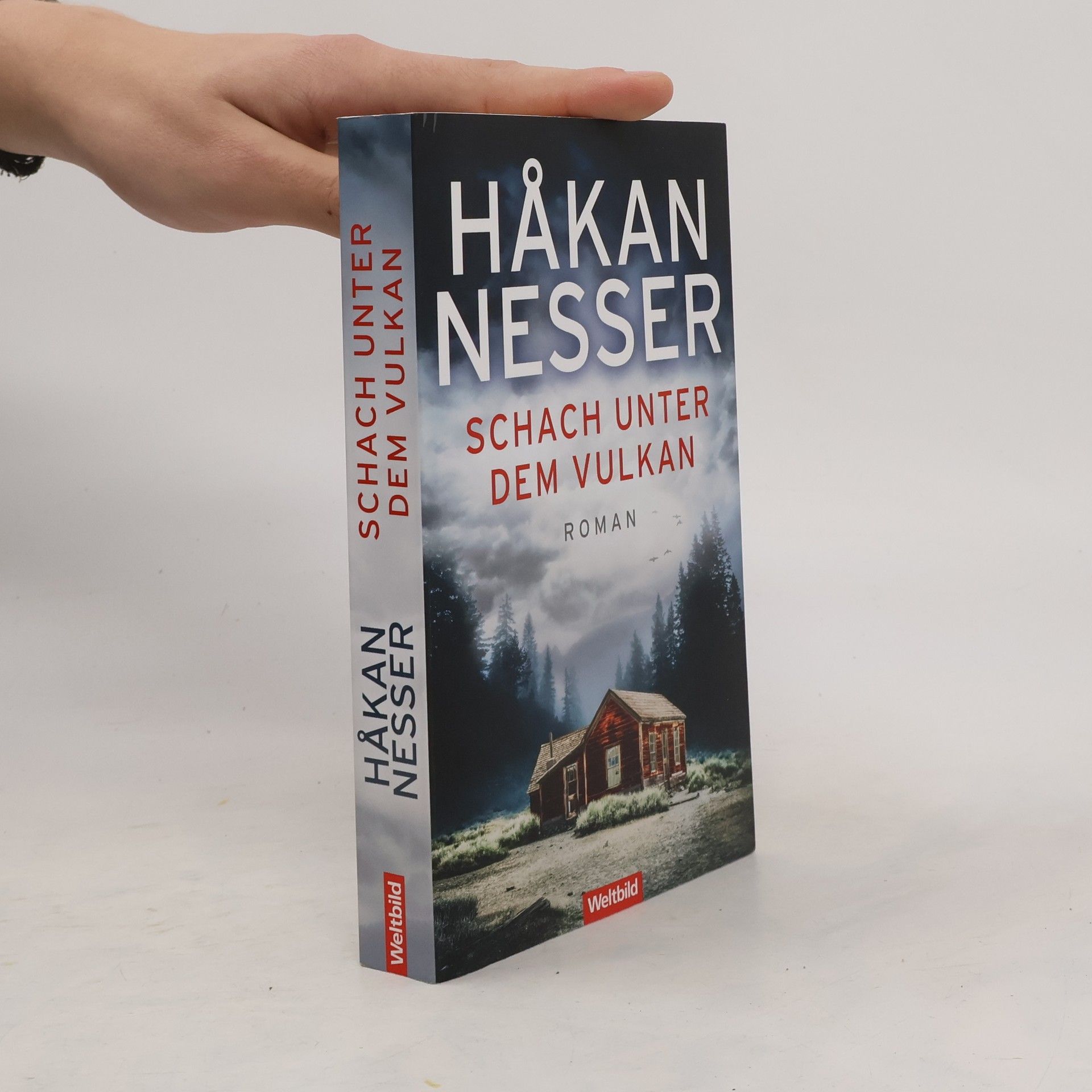 Hakan Nesser Schach unter dem Vulkan