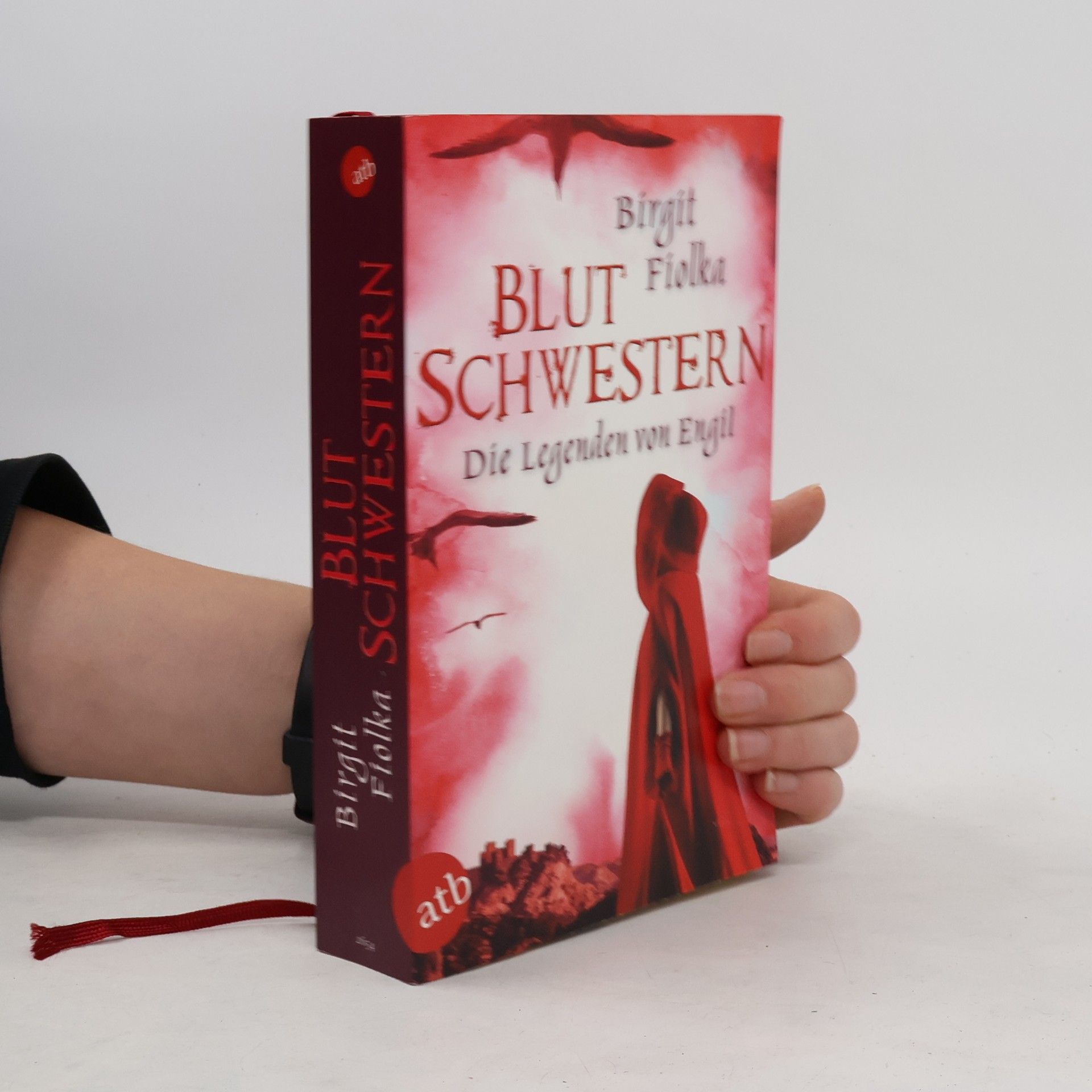 Birgit Fiolka Blut Schwestern. Die Legenden von Engil