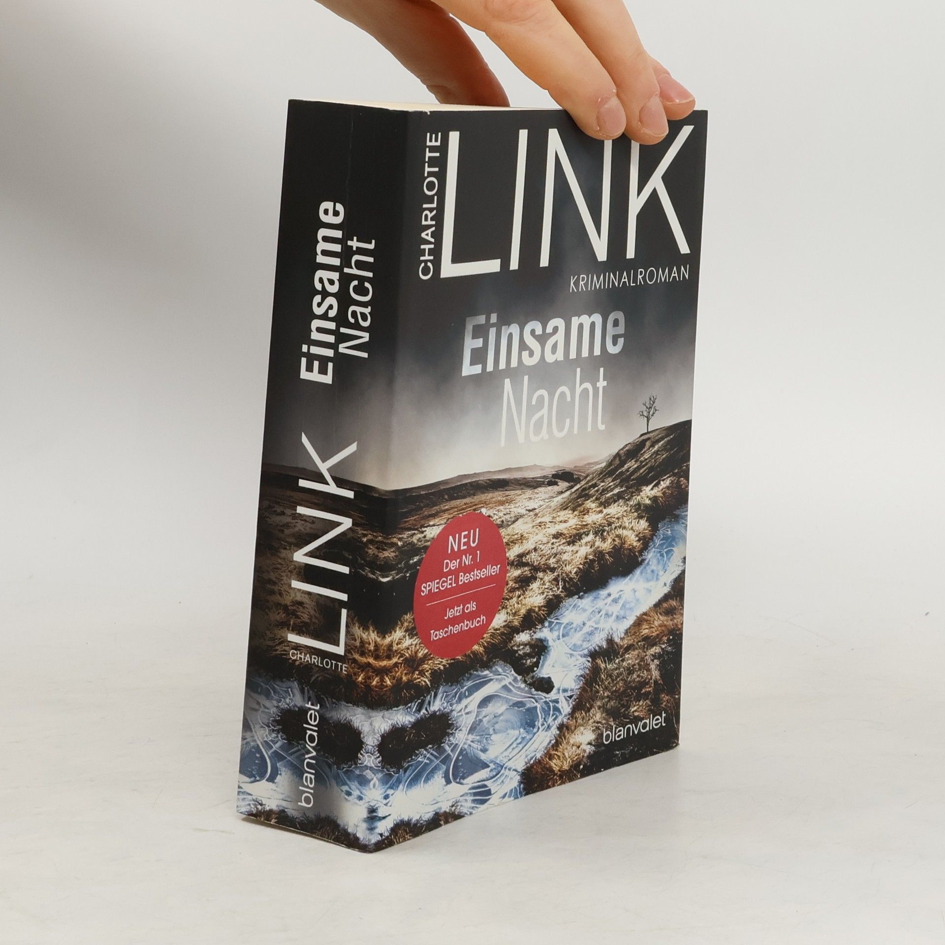 Charlotte Link Einsame Nacht