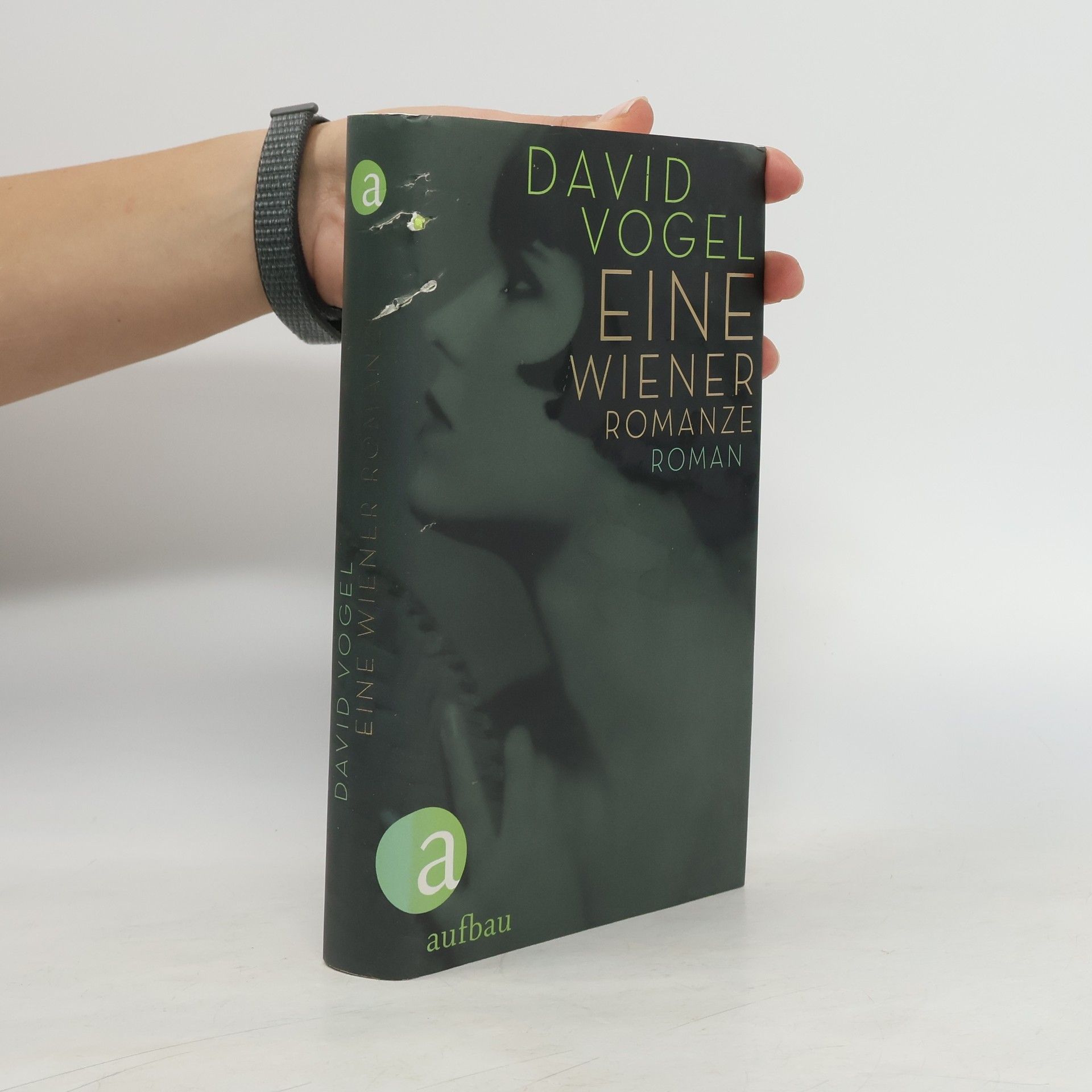 David Vogel Eine Wienerromanze