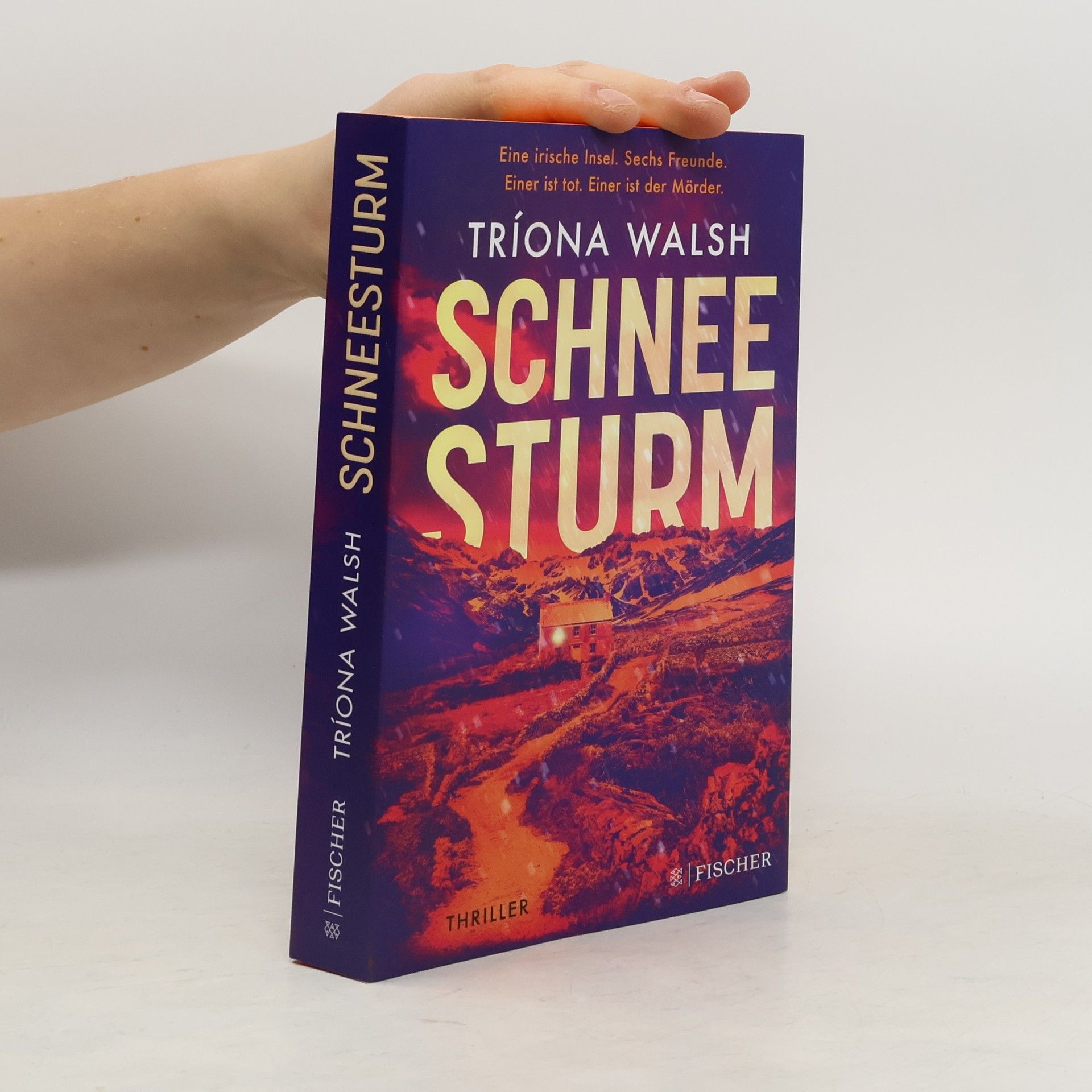 Tríona Walsh Schneesturm