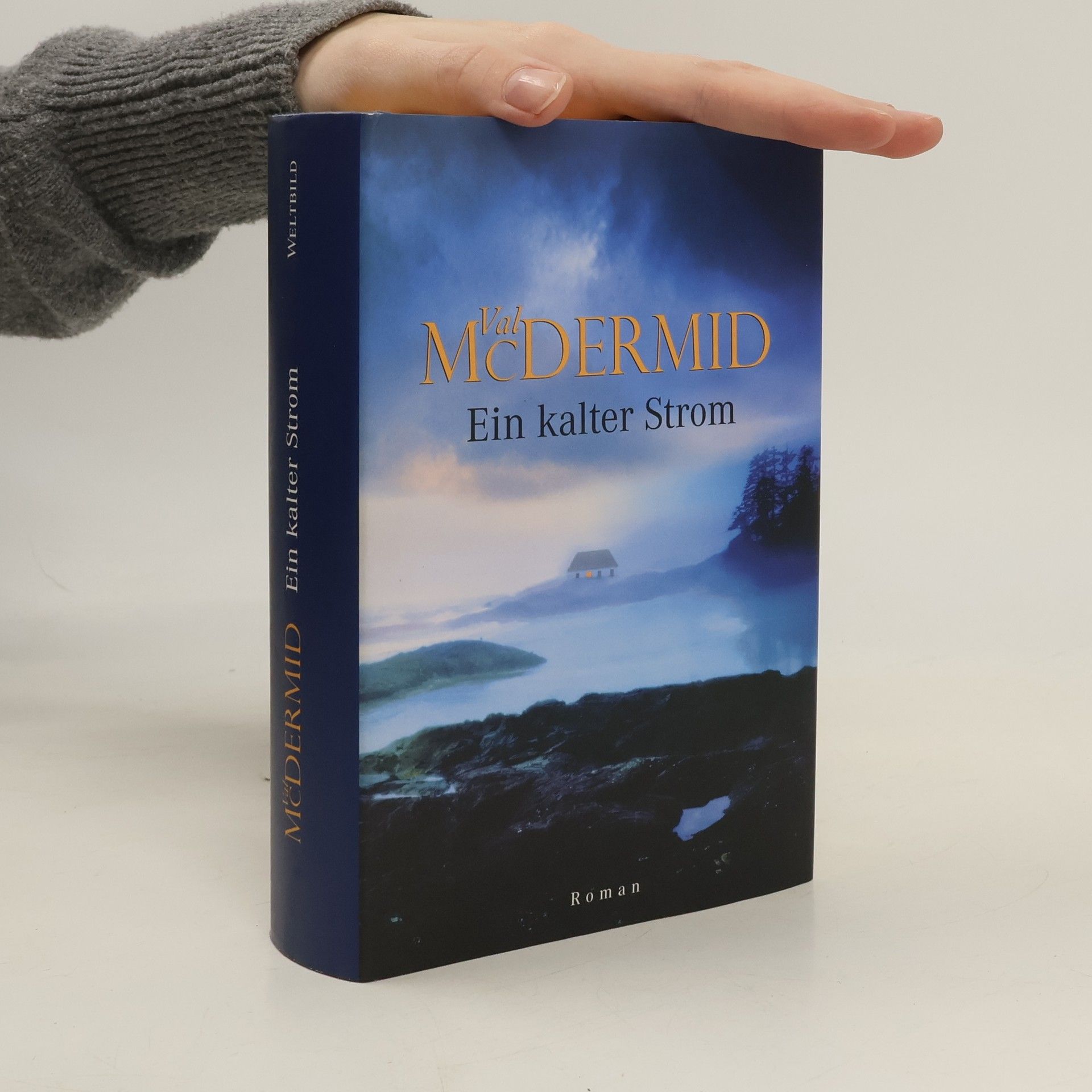 Val McDermid Ein kalter Strom