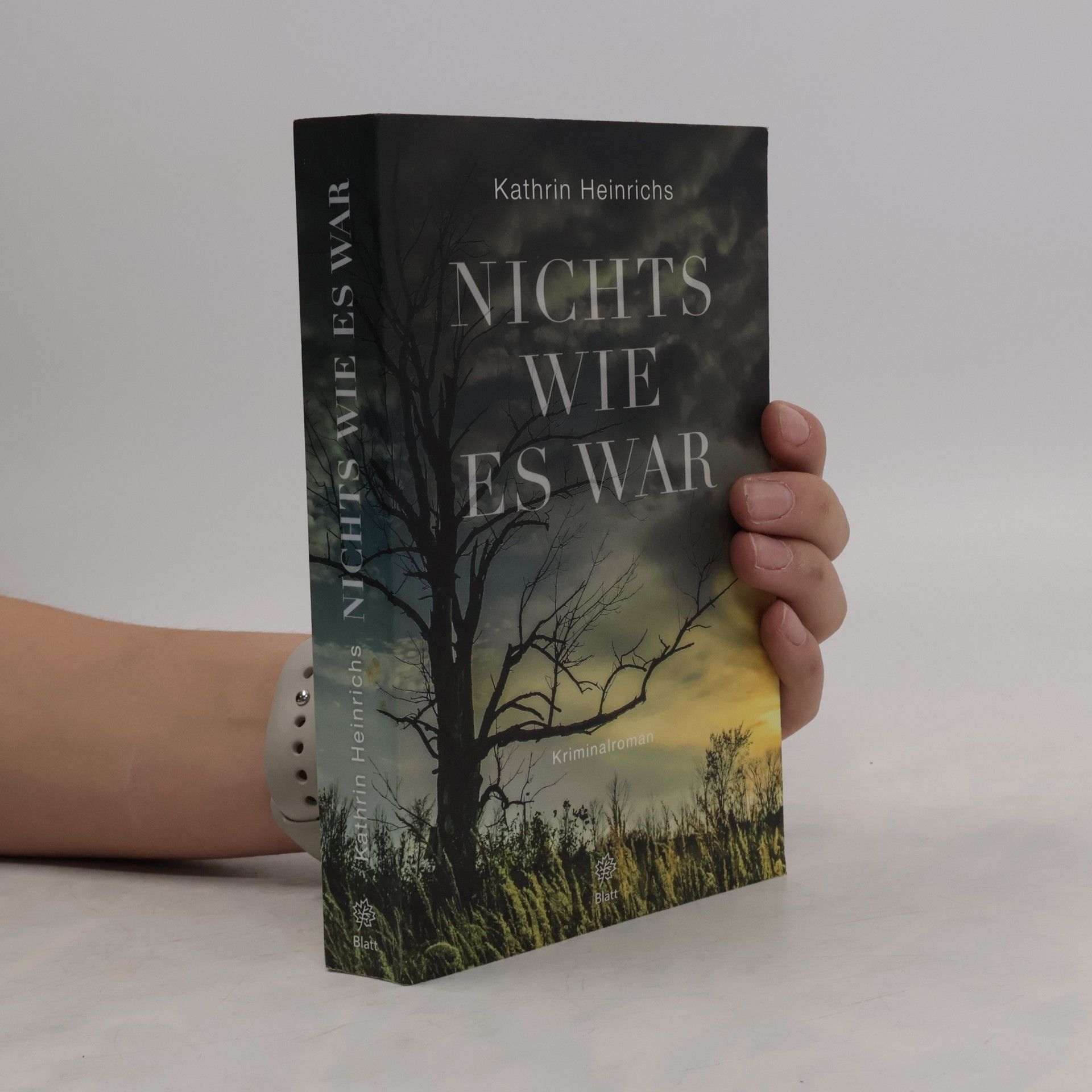 Kathrin Heinrichs Nichts wie es war