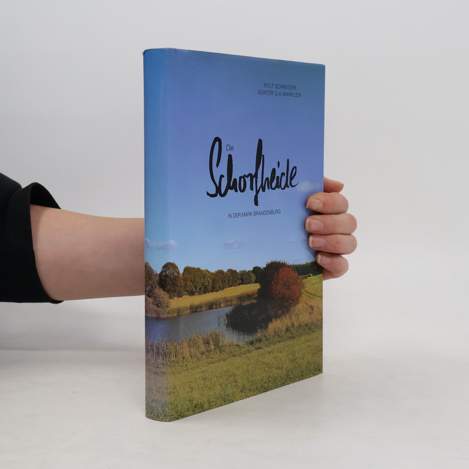 Die Schorfheide in der Mark Brandenburg