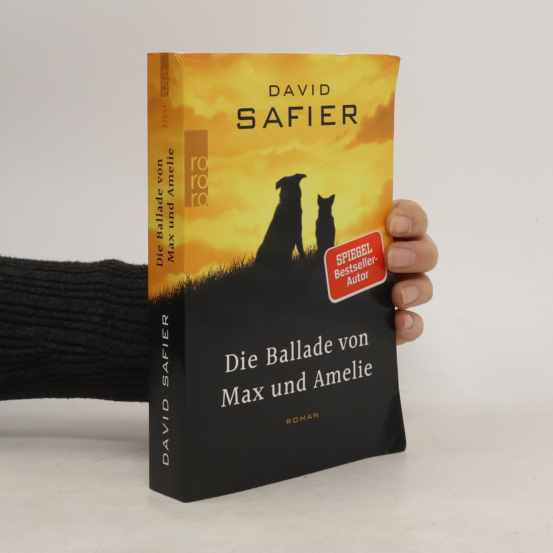 David Safier Die Ballade von Max und Amelie