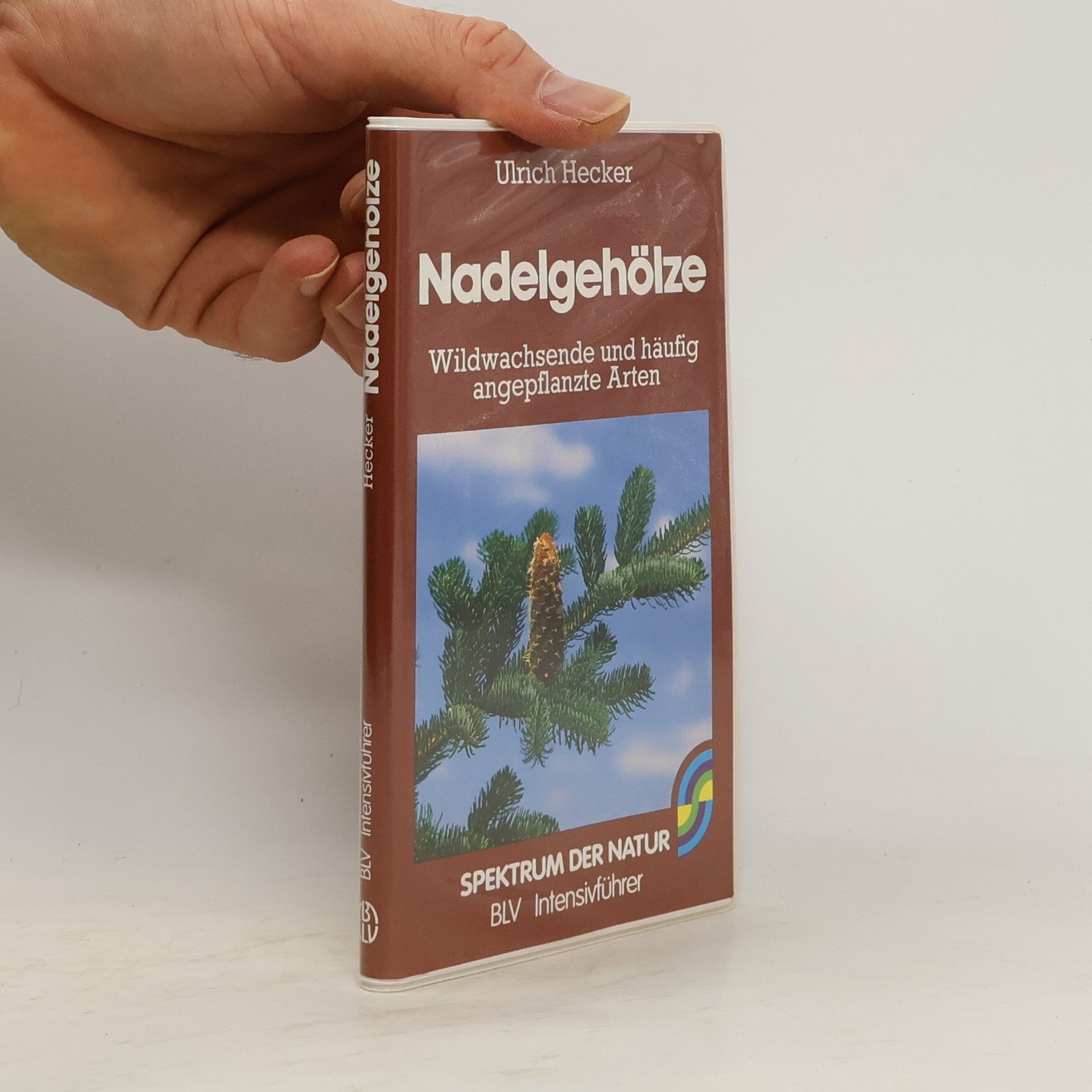Hans-Ulrich Hecker Nadelgehölze
