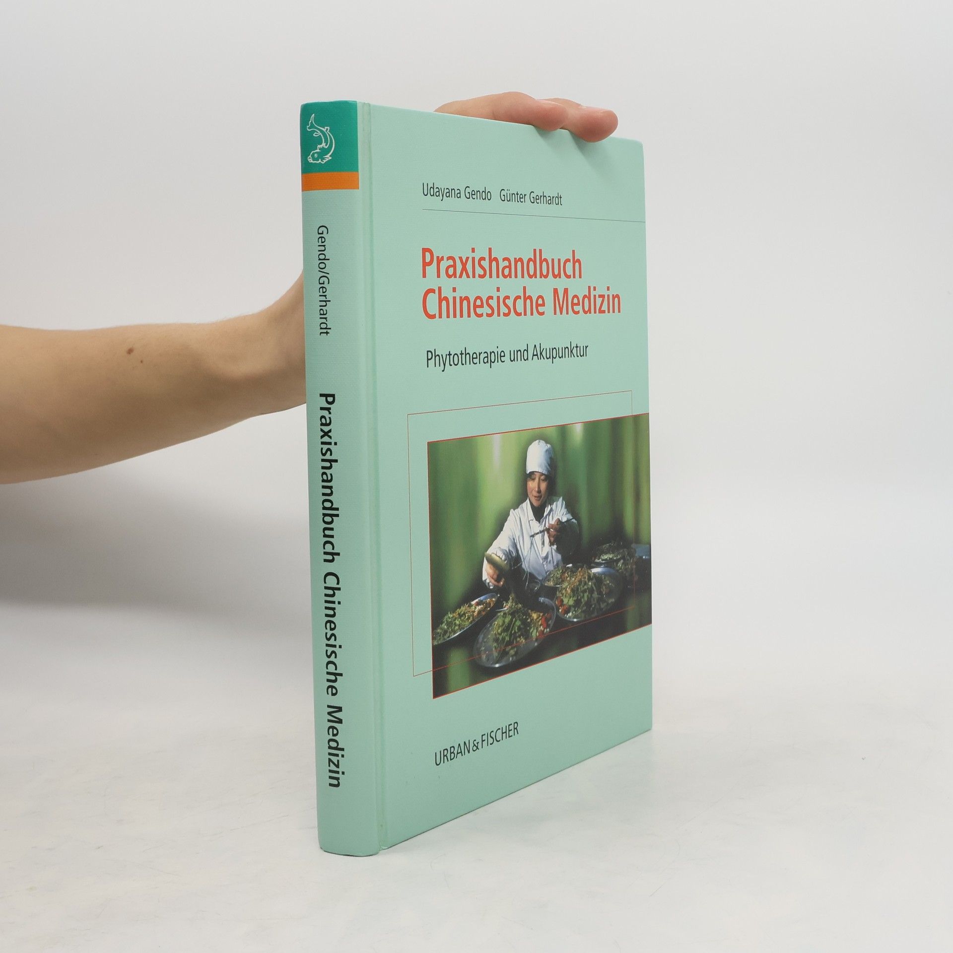 Udayana Gendo Praxishandbuch chinesische Medizin