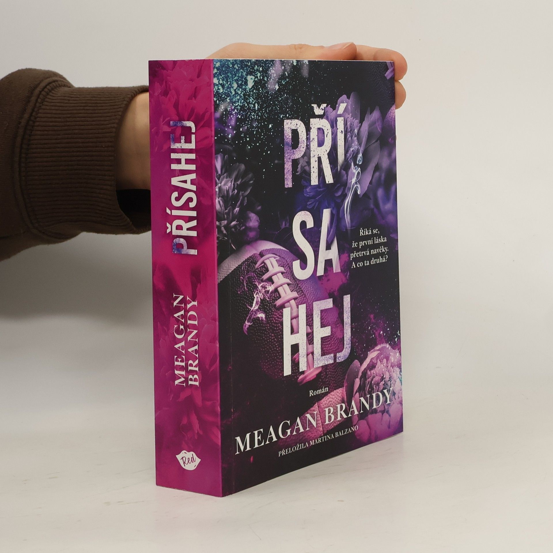 Meagan Brandy Přísahej