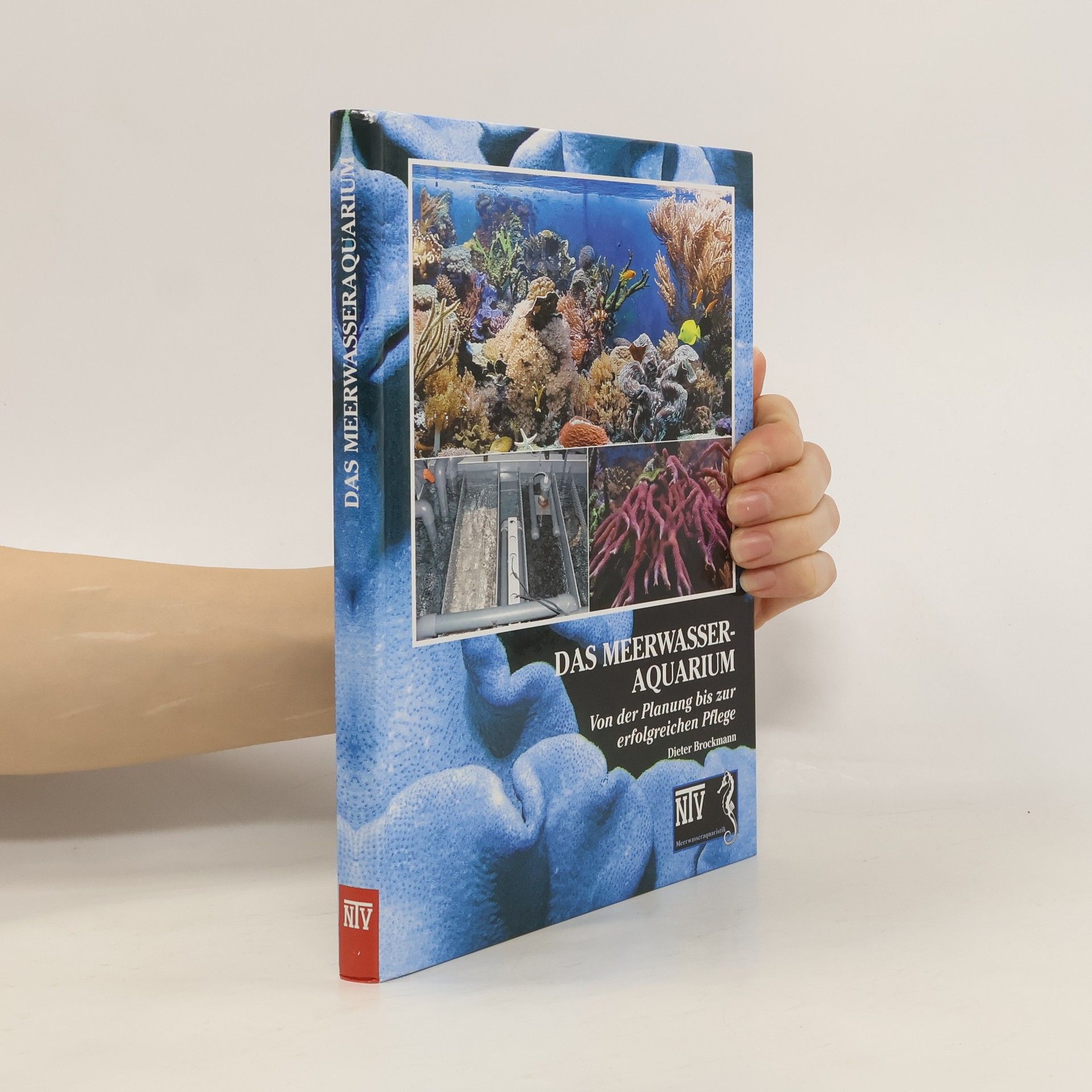 Daniel Brockmann Das Meerwasseraquarium